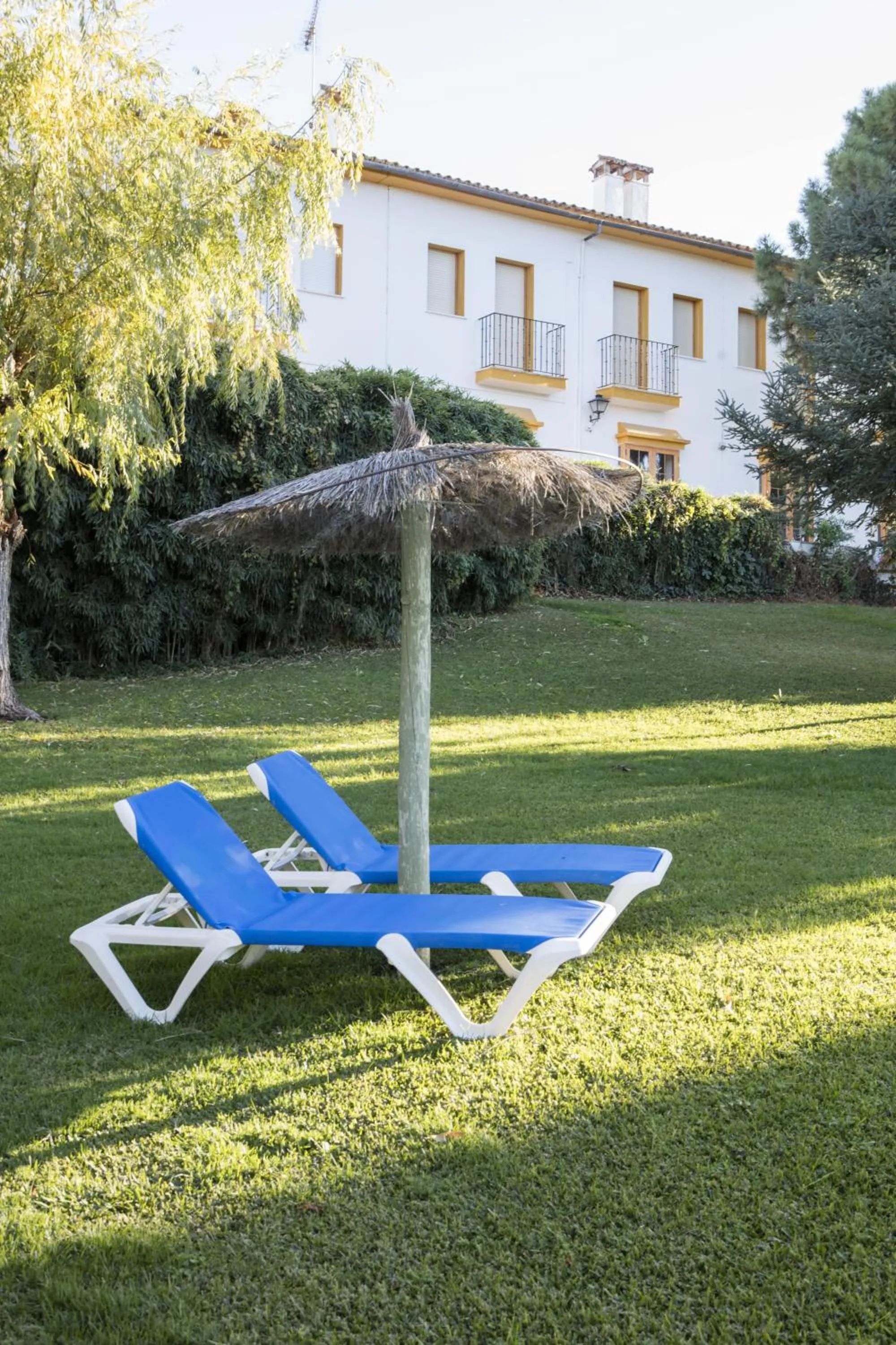 sunbed, Garden in Tugasa El Almendral