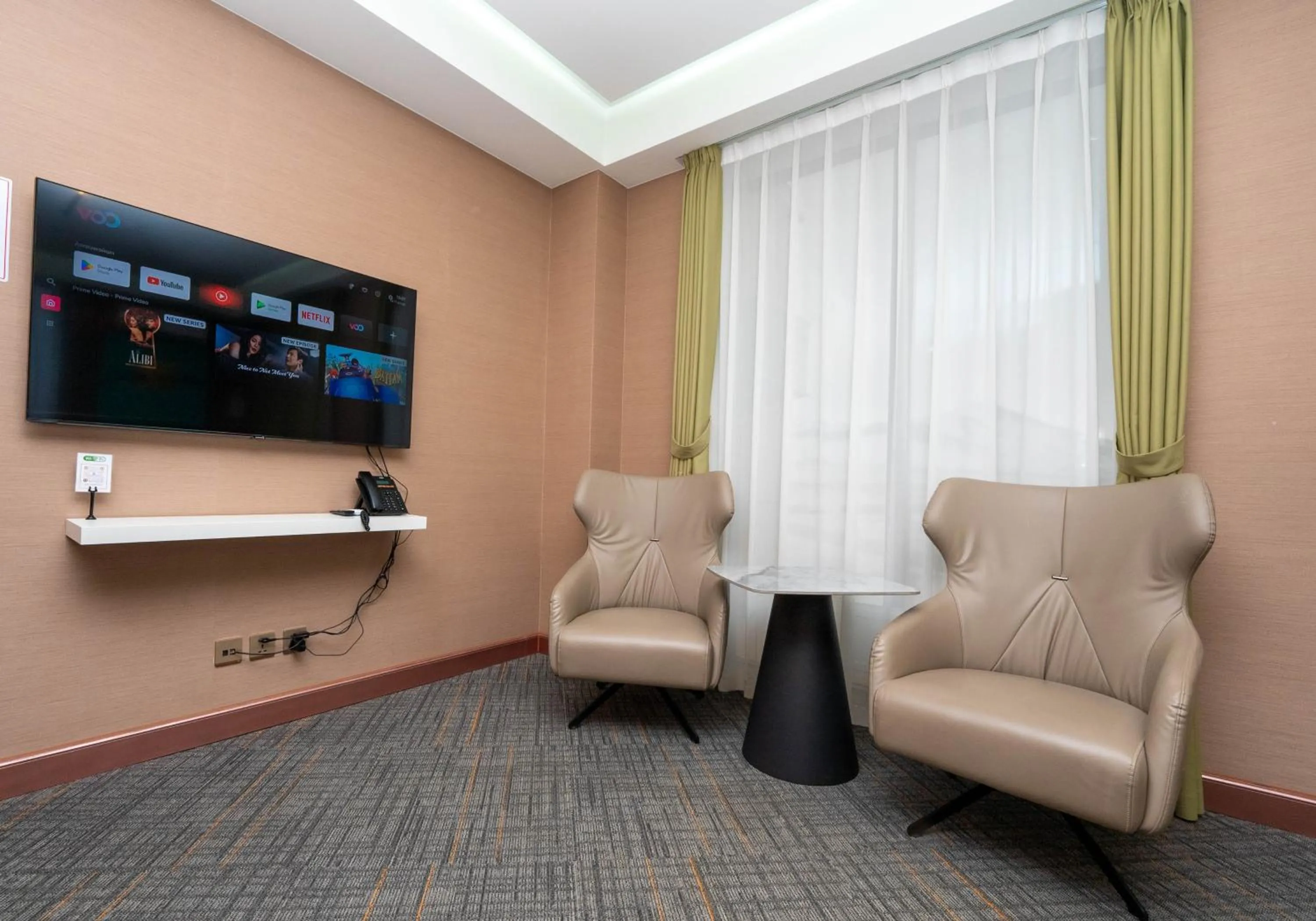 TV and multimedia in Amgun Hotel Ulaanbaatar