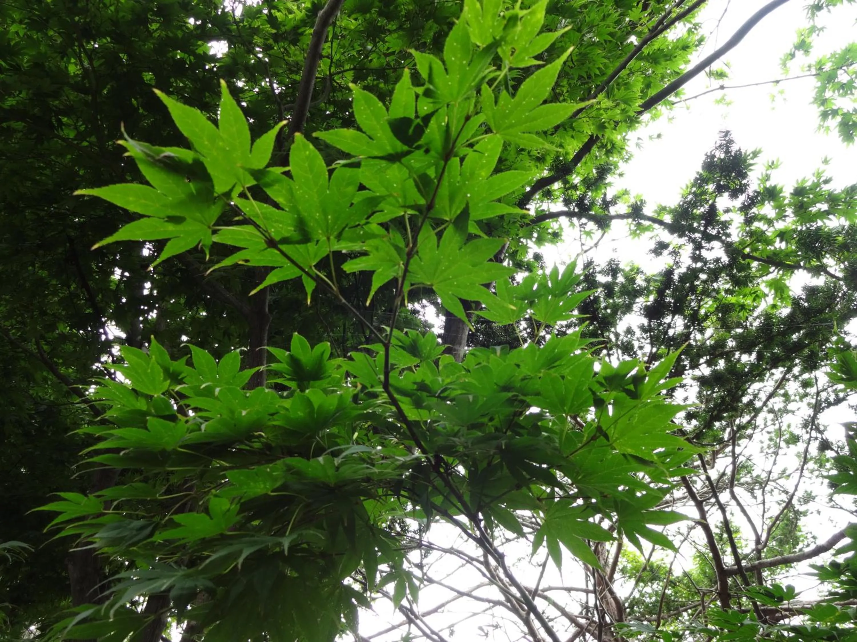 Autumn in La Cachette