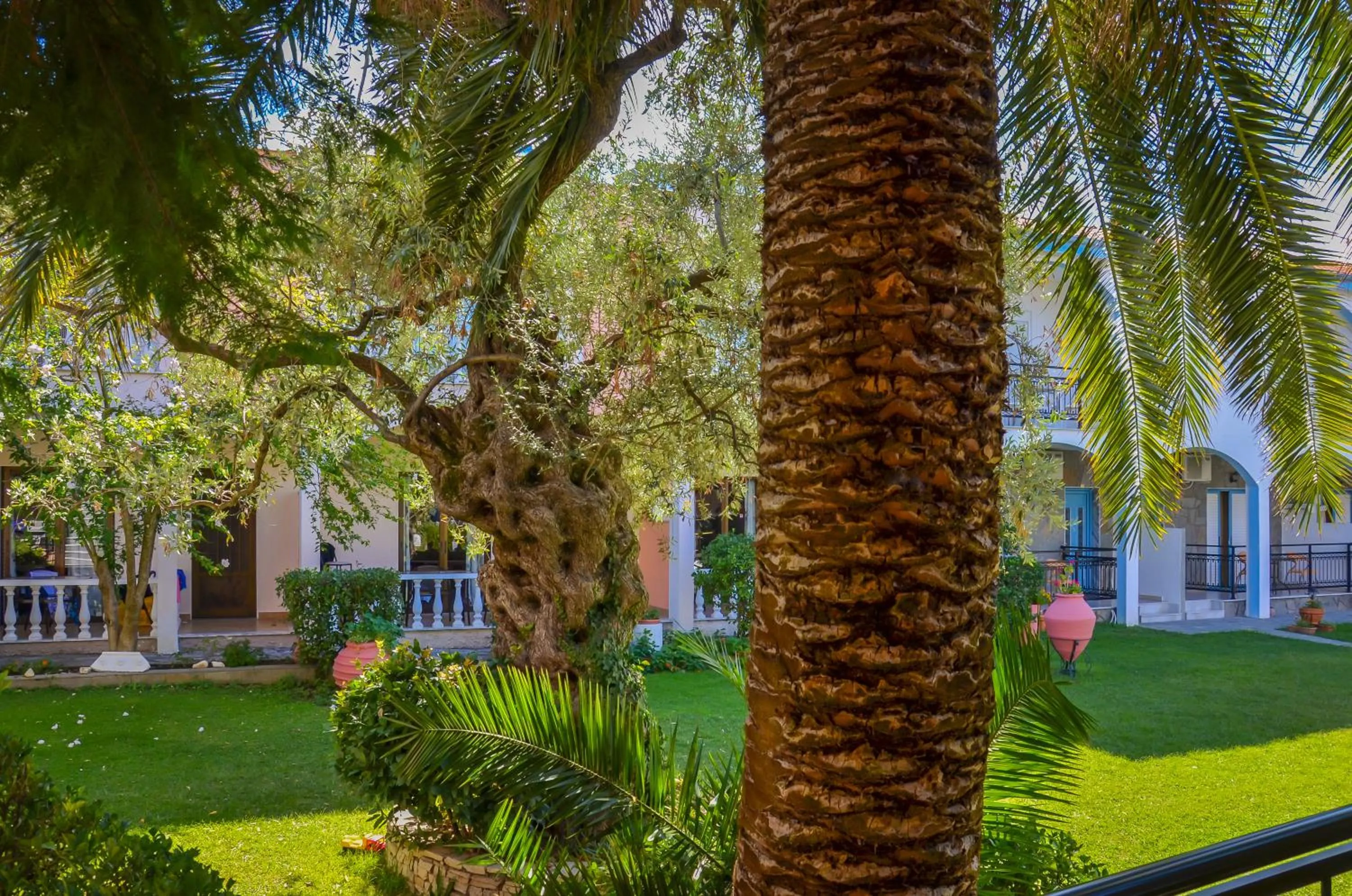 Property building in Villa Eden
