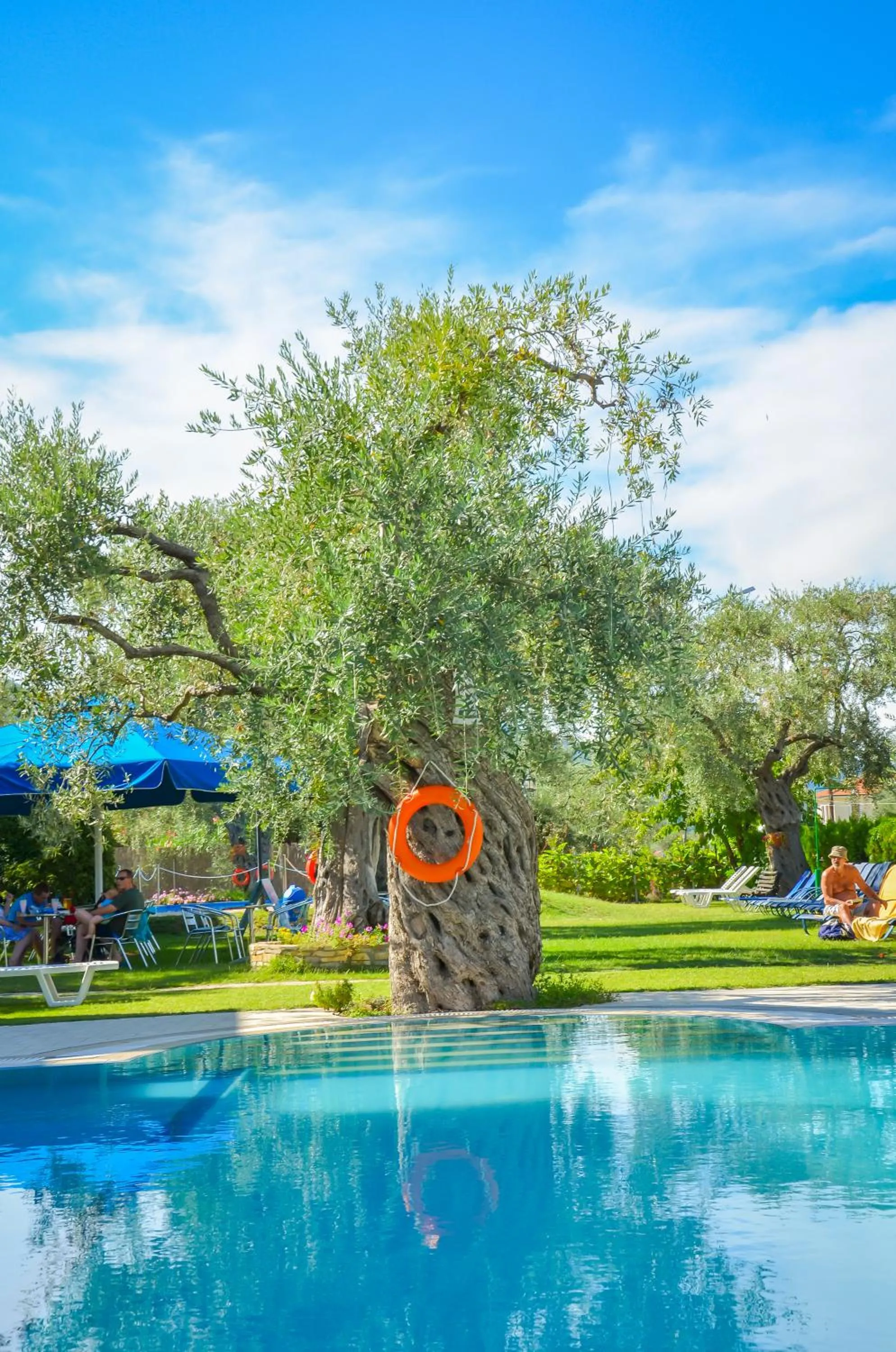 Garden in Villa Eden