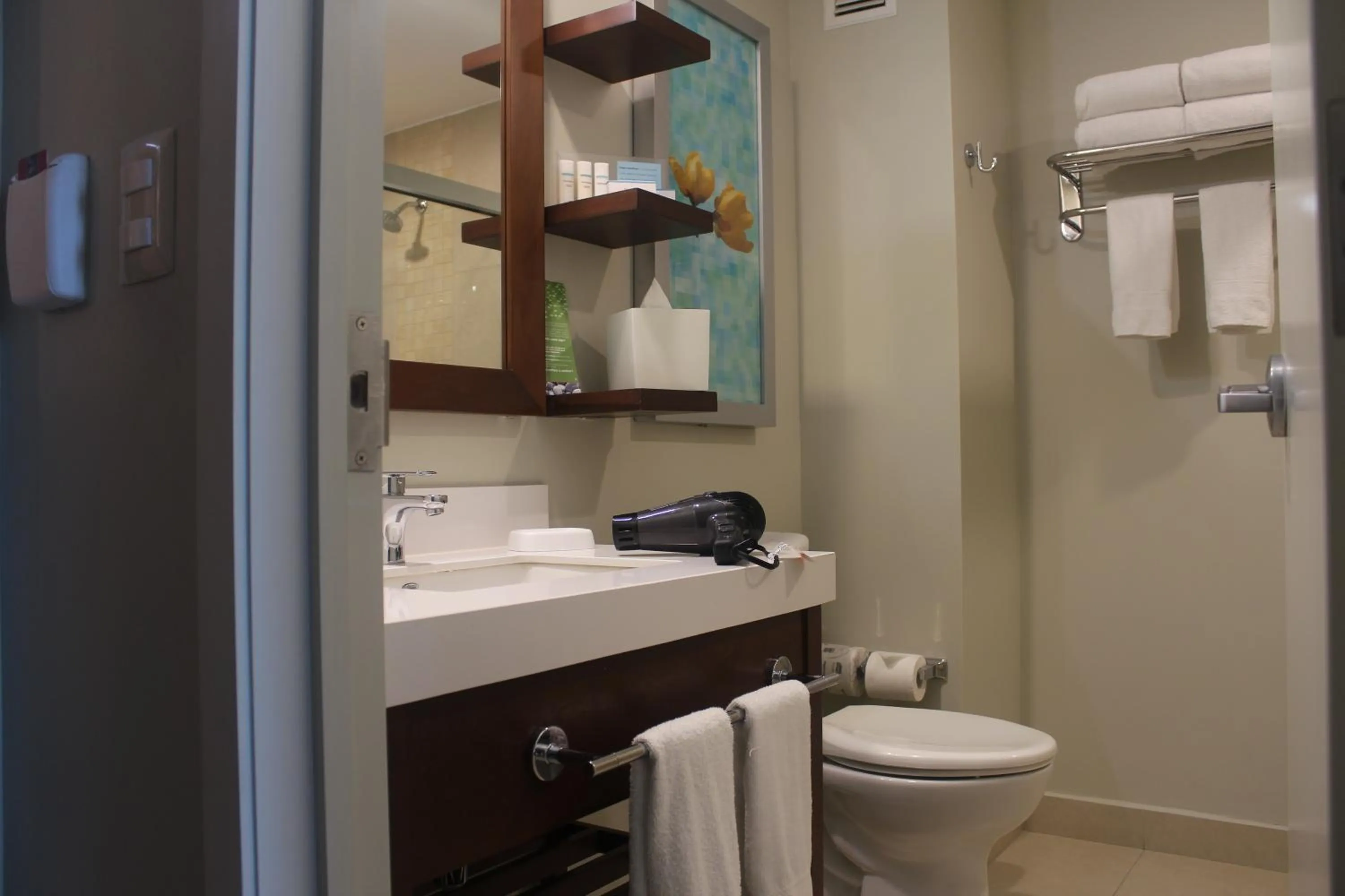 Bathroom in Hampton Inn by Hilton Merida