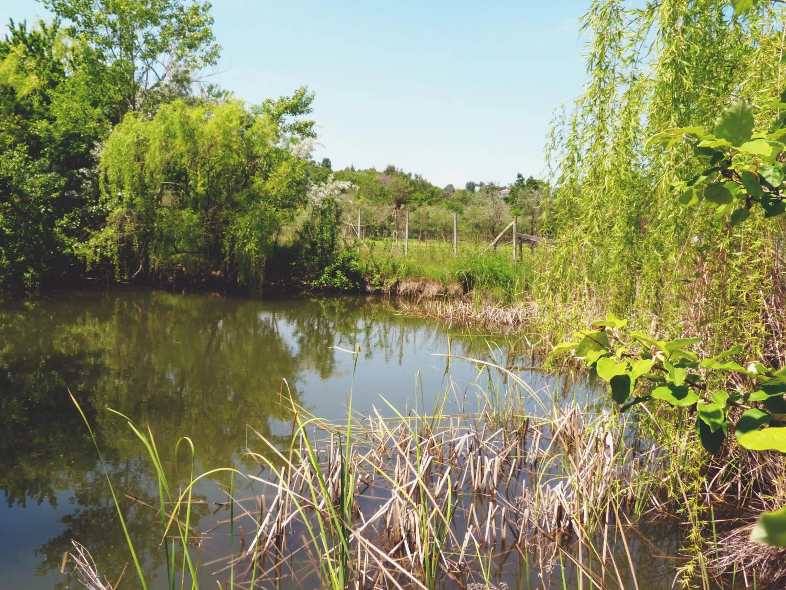 Natural landscape in Pian del Pigro