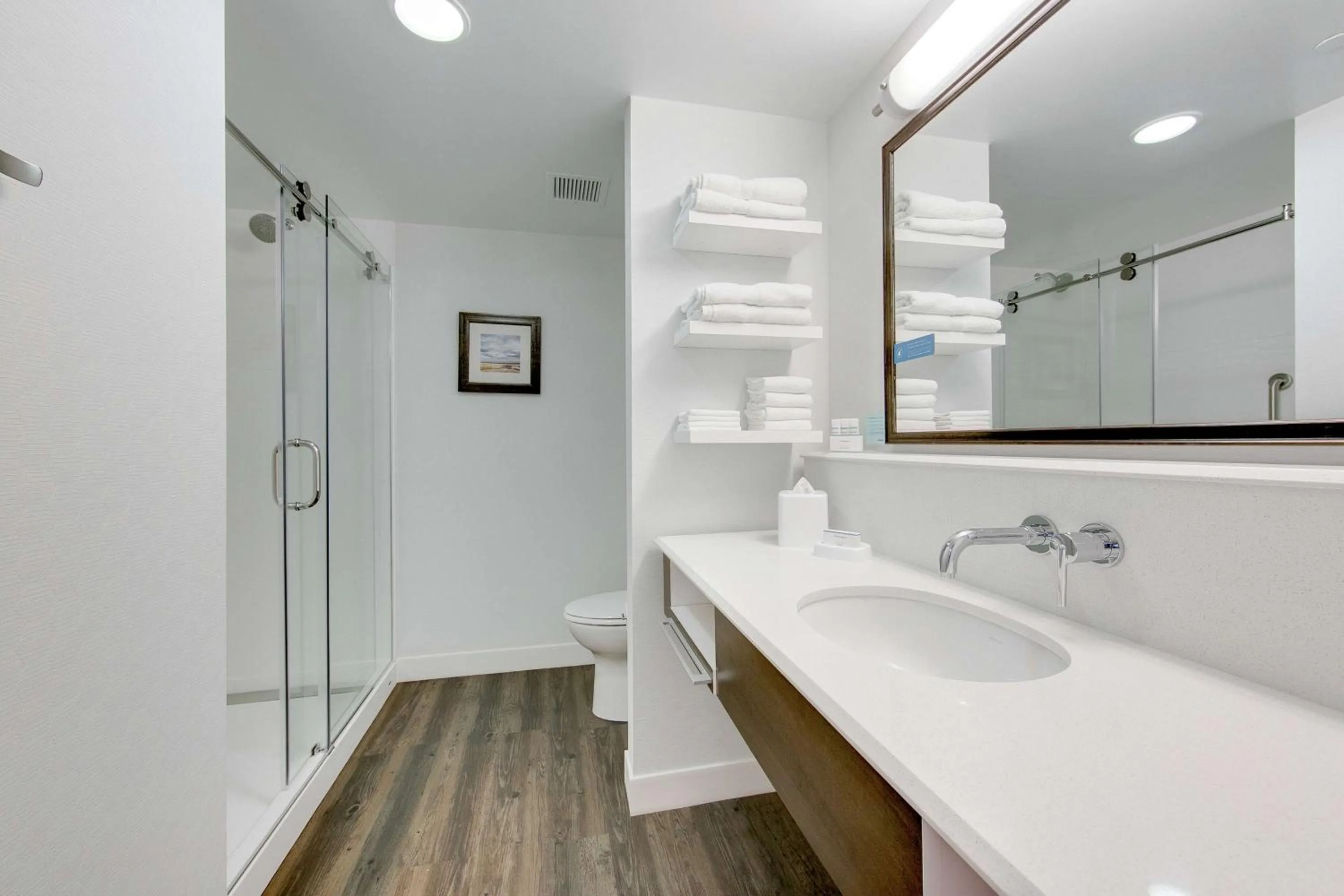 Bathroom in Hampton Inn & Suites North Houston Spring