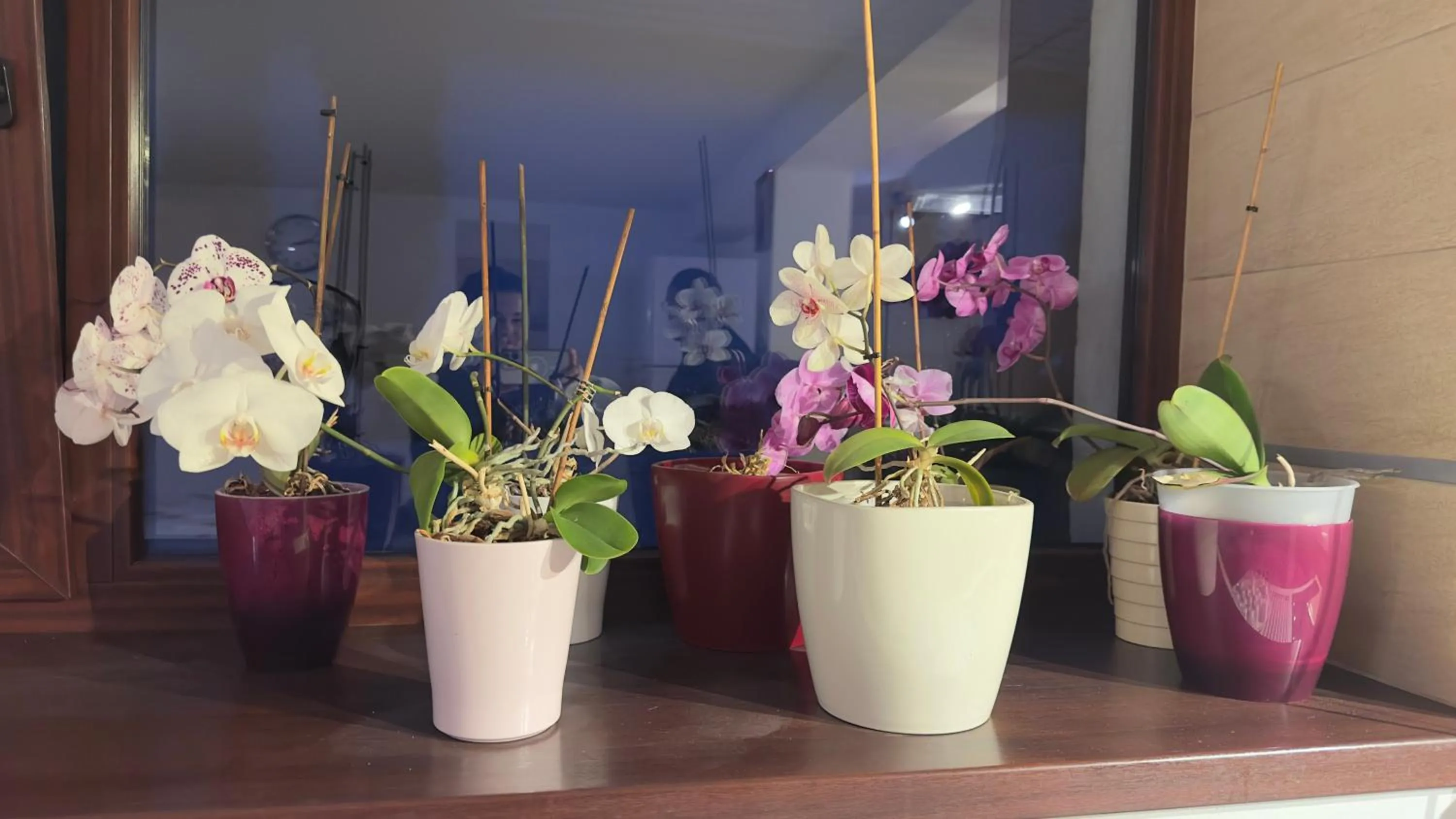 Pensiunea Bergwald Rasnov Brasov by BuySellRent