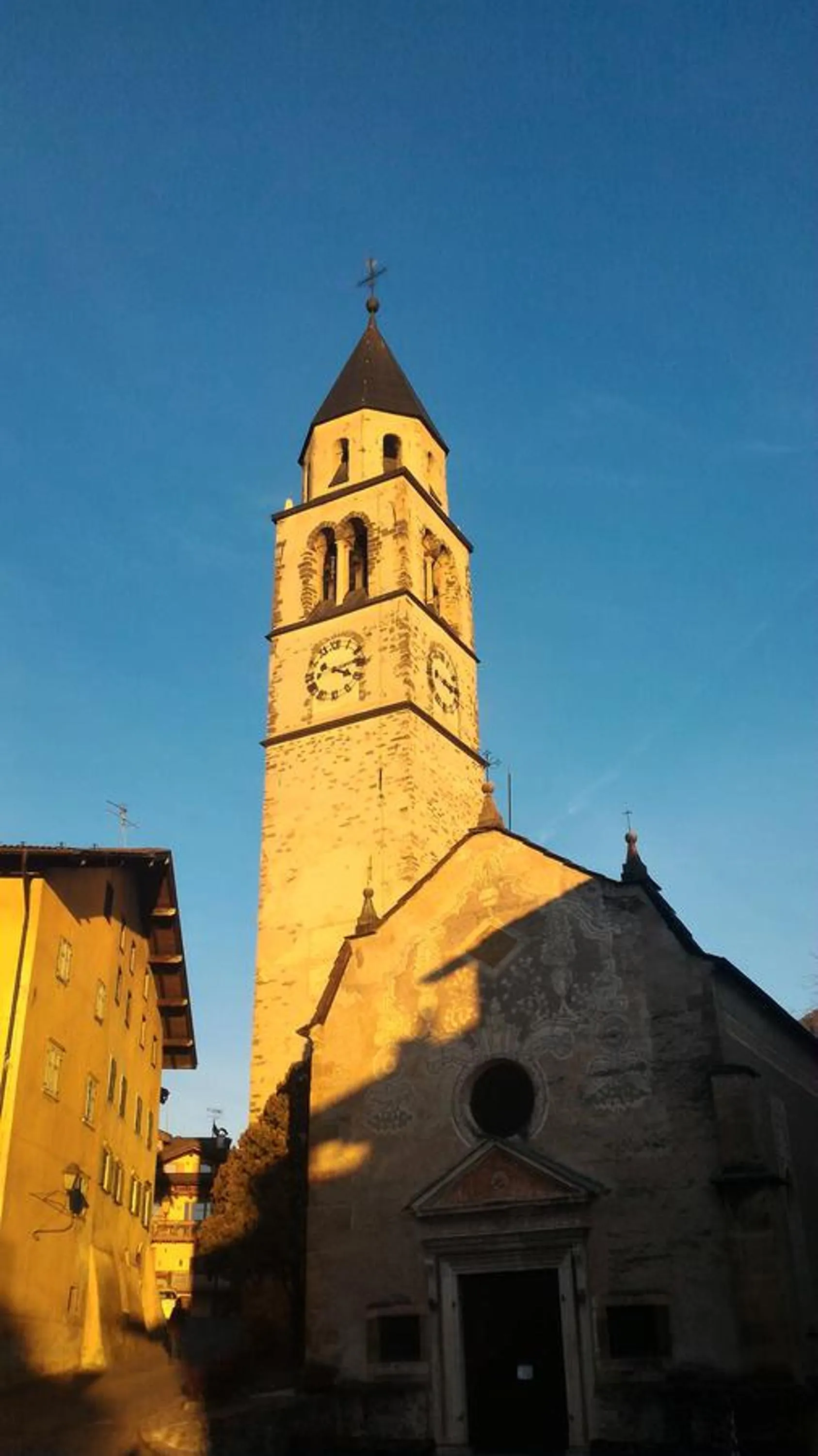 Il Cardo Trentino