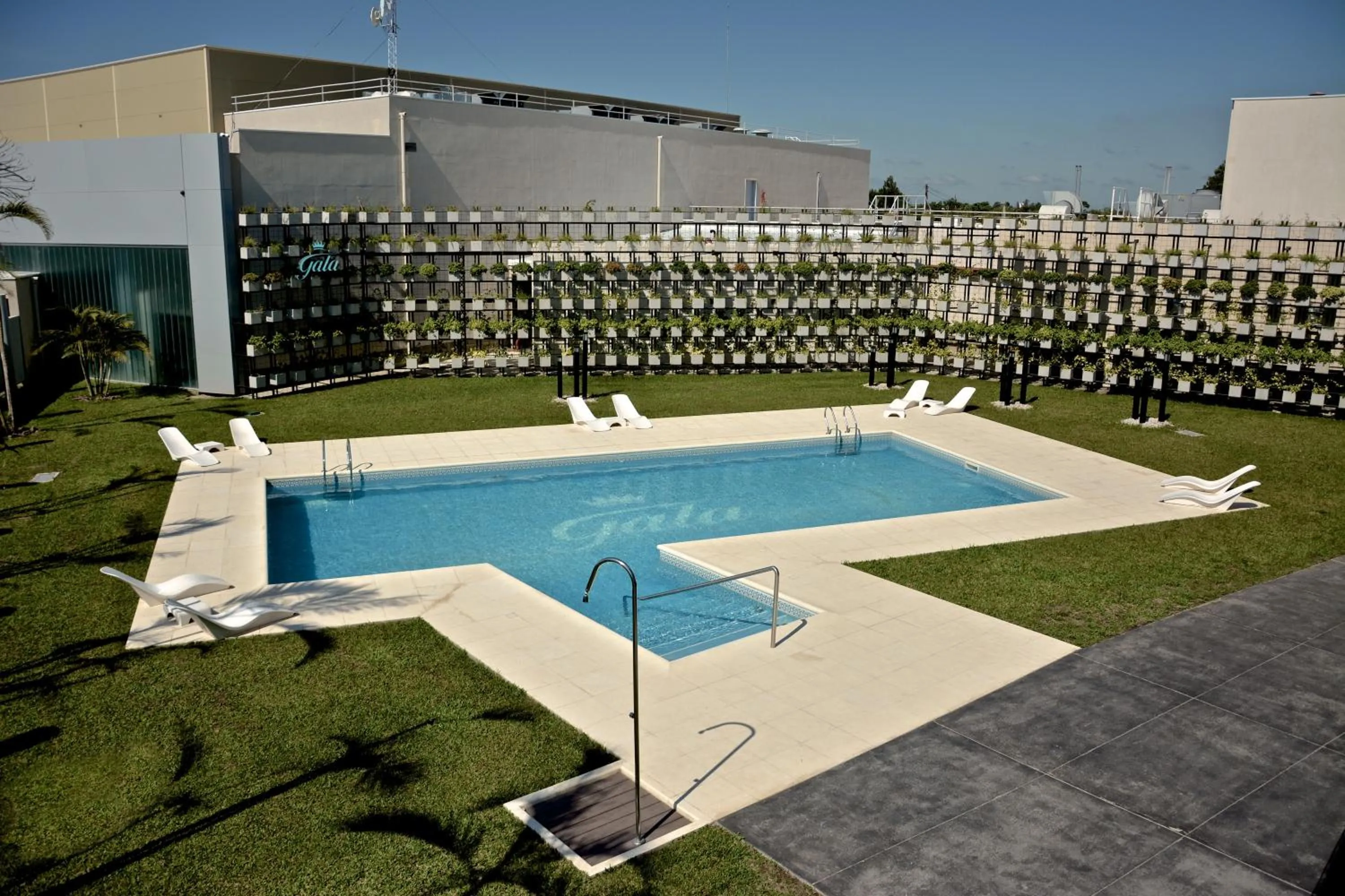 Swimming pool in Gala Hotel y Convenciones