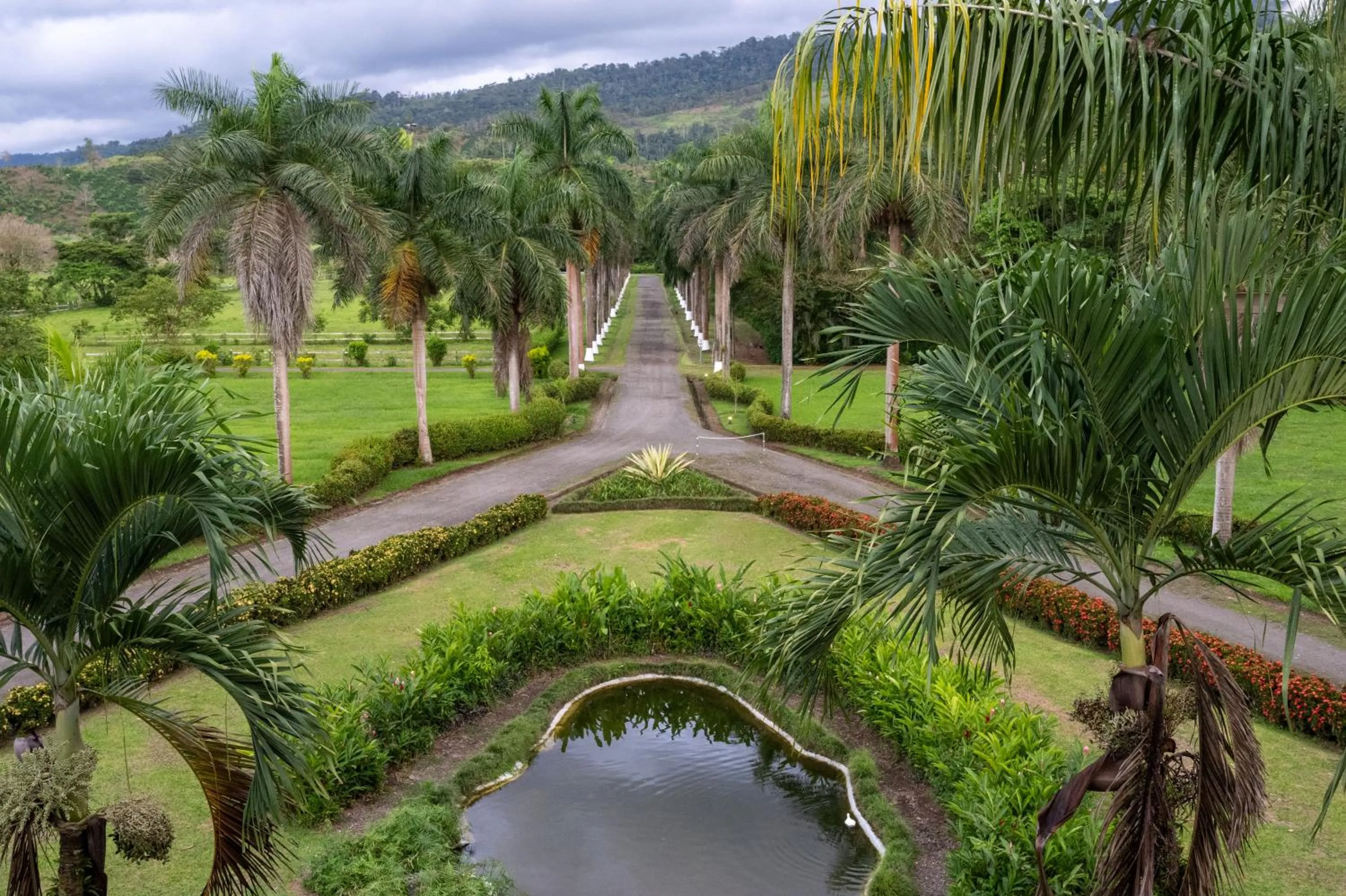 Garden in Hotel Casa Turire