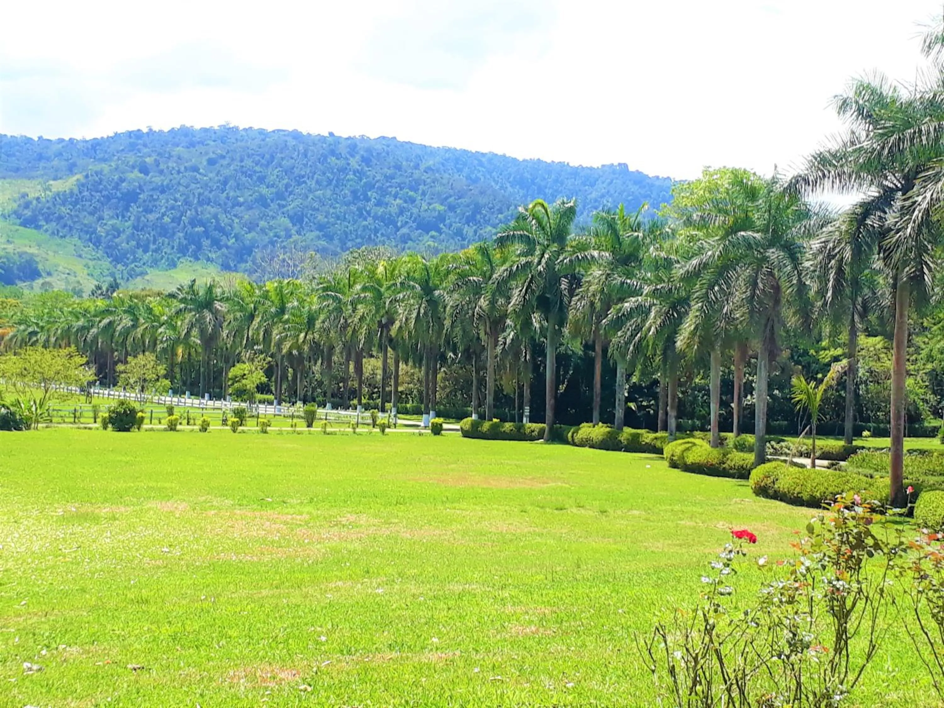 Patio in Hotel Casa Turire