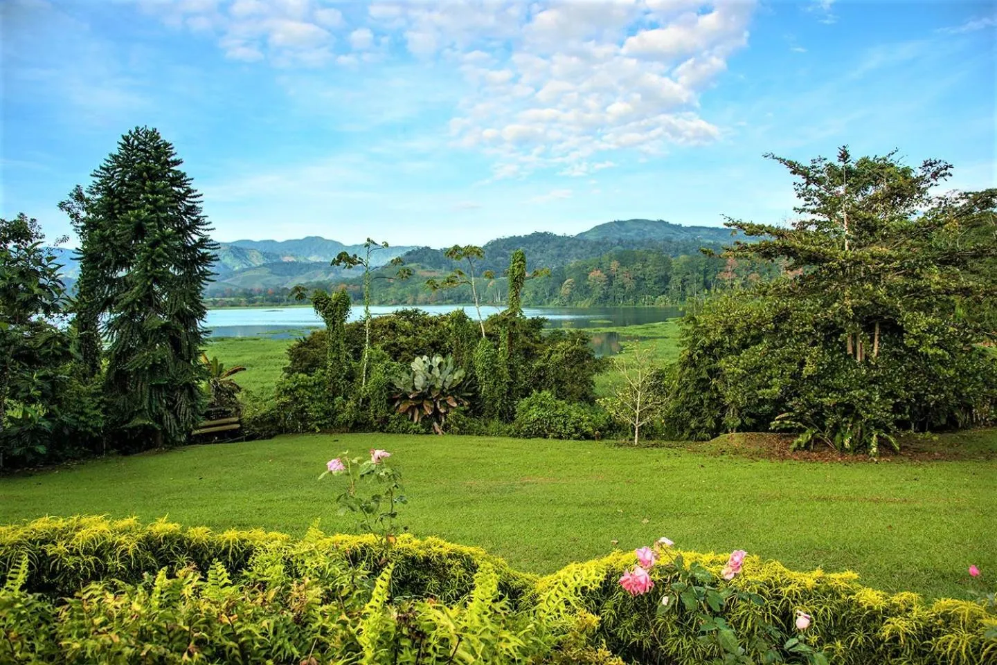 Garden view in Hotel Casa Turire