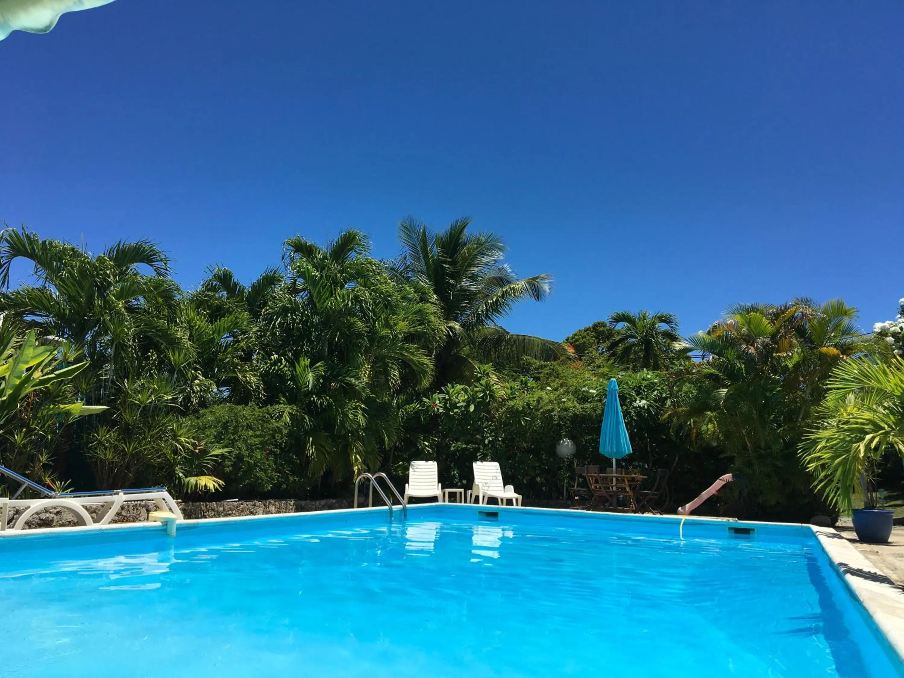 Garden view in Hotel Cap Sud Caraibes