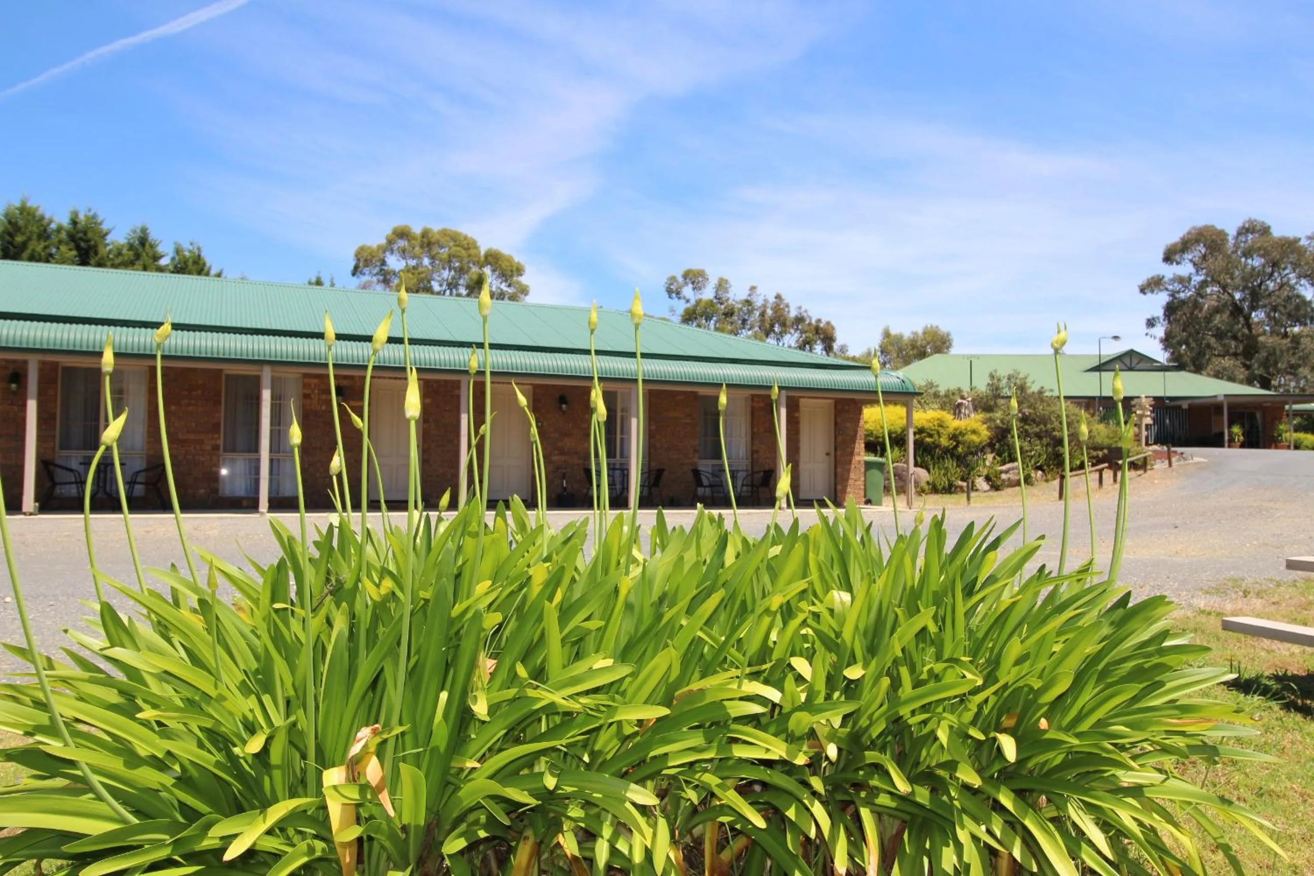 View (from property/room) in Motel Views Yackandandah
