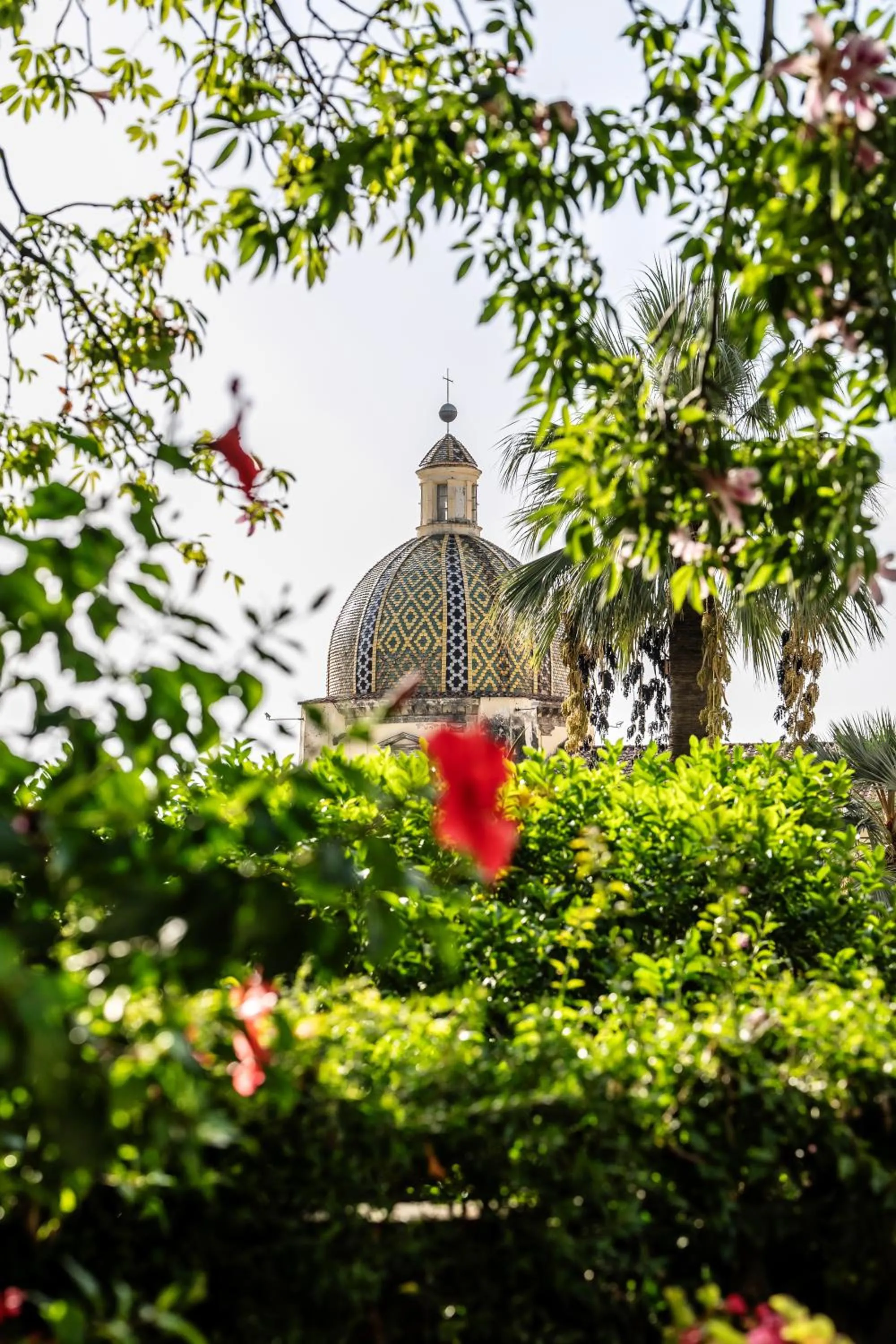 Garden in Hotel Palazzo Murat