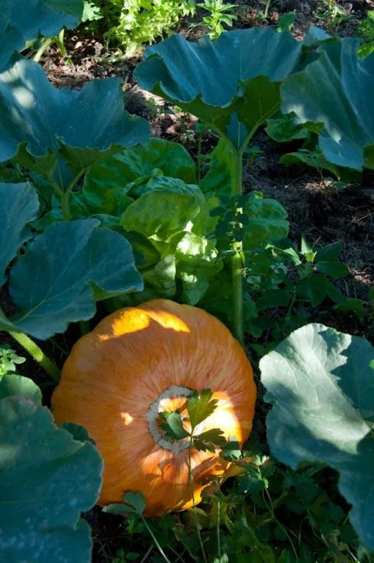 Restaurant/places to eat in Gîte La Grange Du Haut