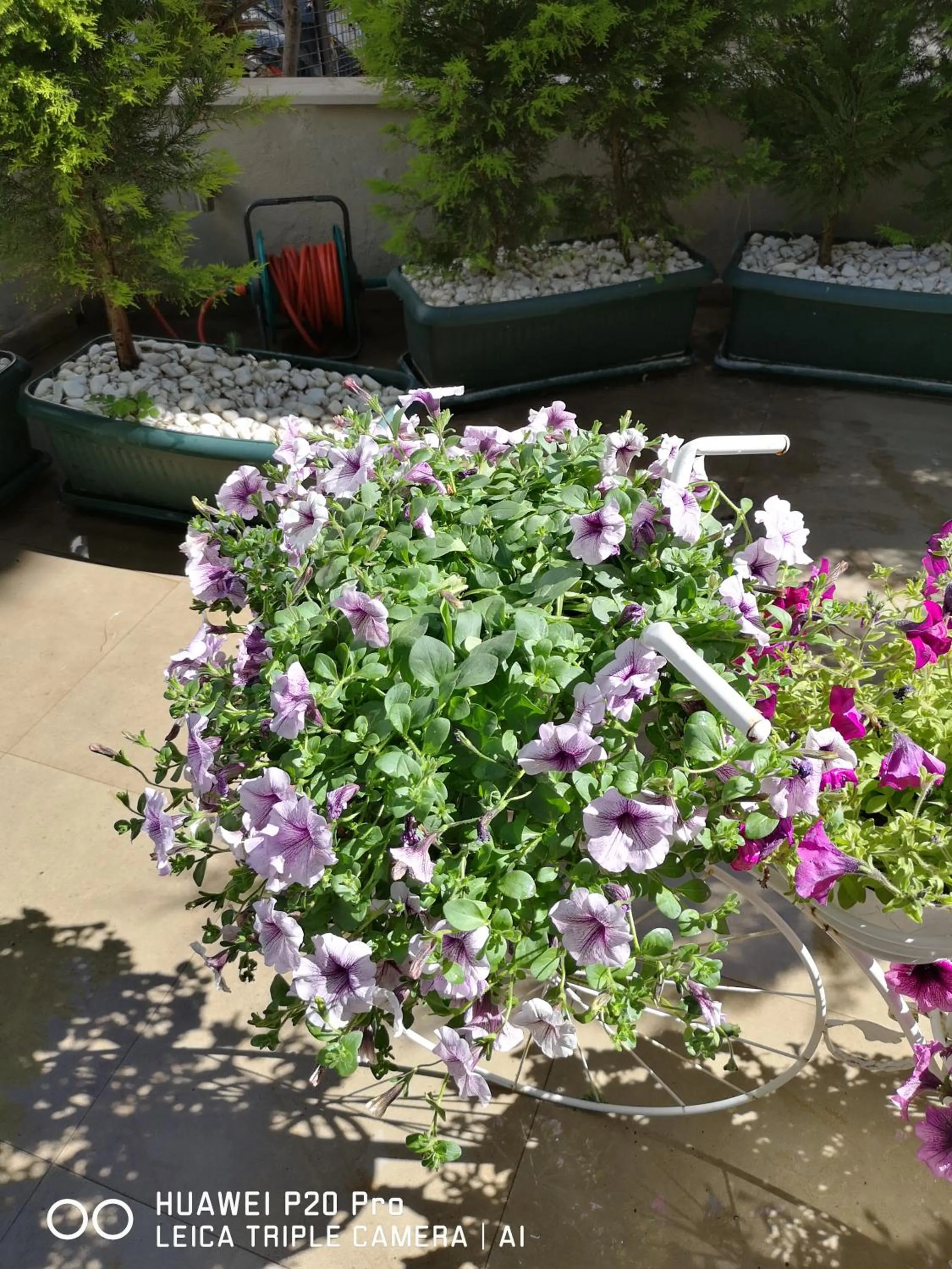 Garden in City Hotel Marmaris