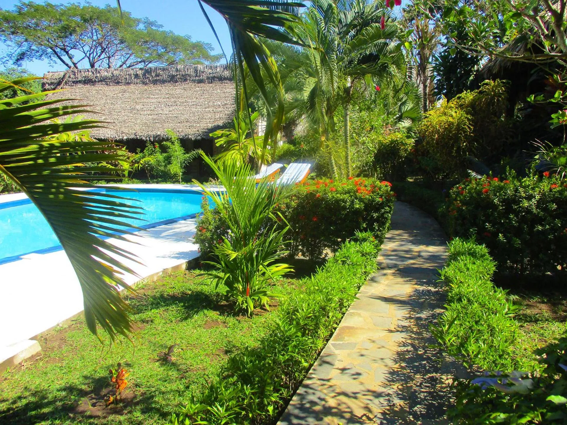 Garden view in Tropic Hôtel