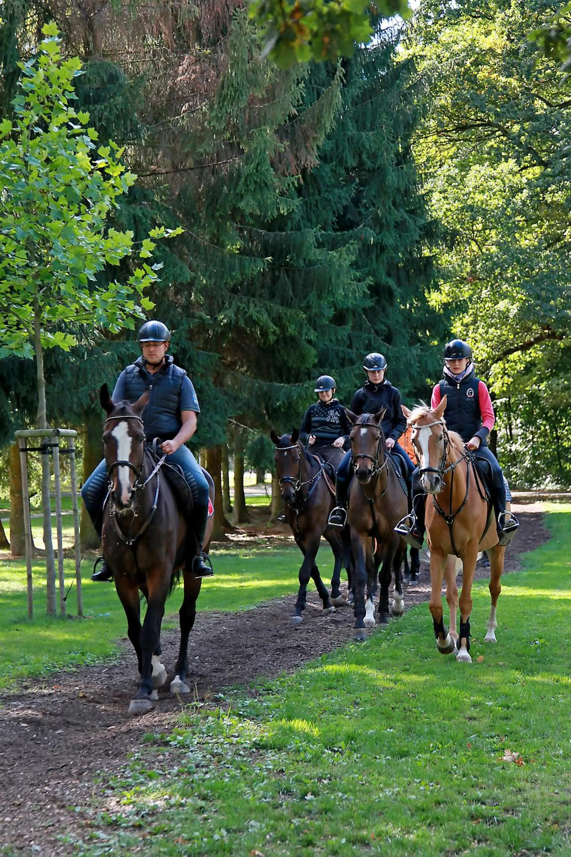 Horse-riding in Penzion Dobré Časy