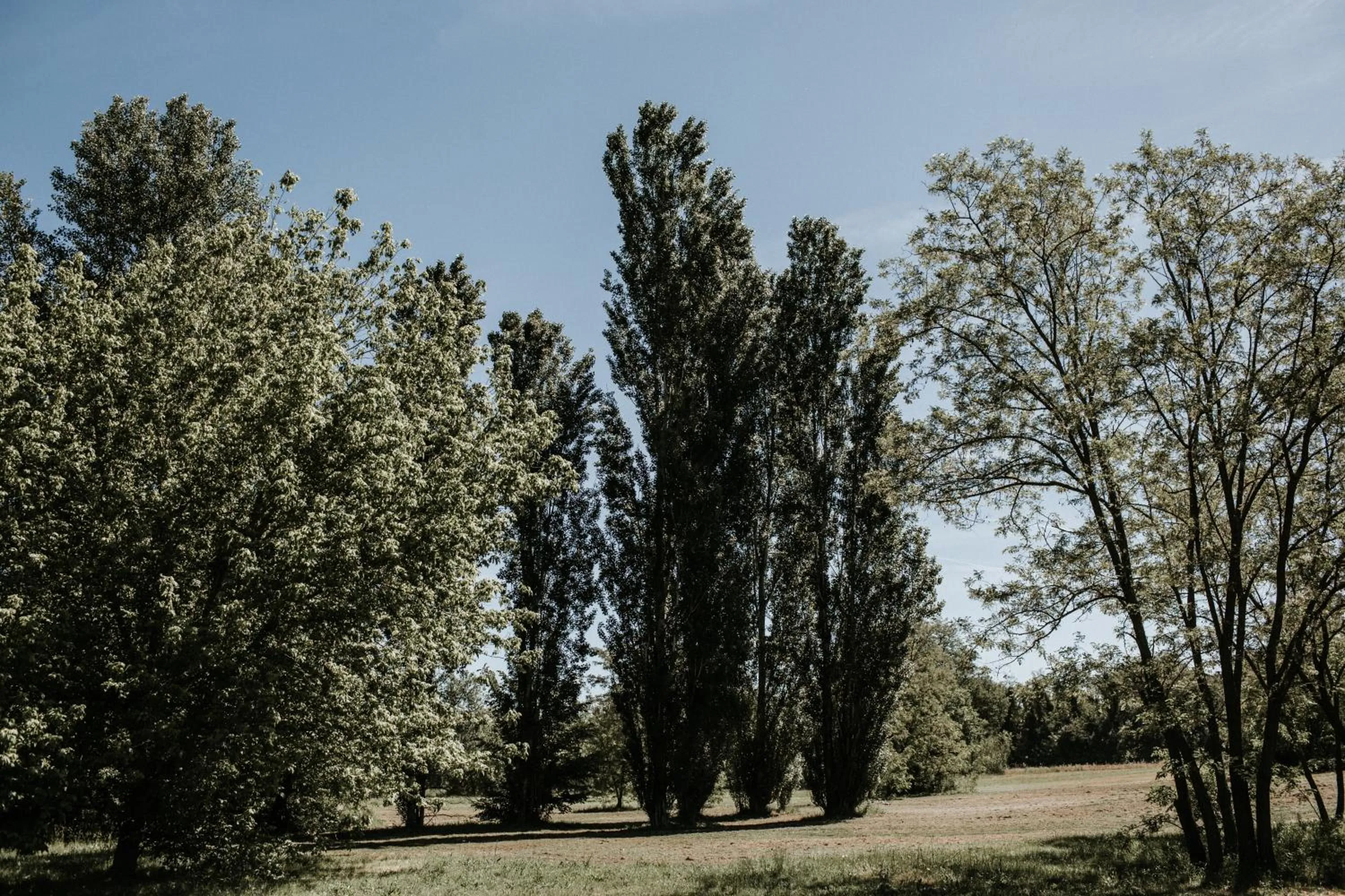 L'Anfora Country Club