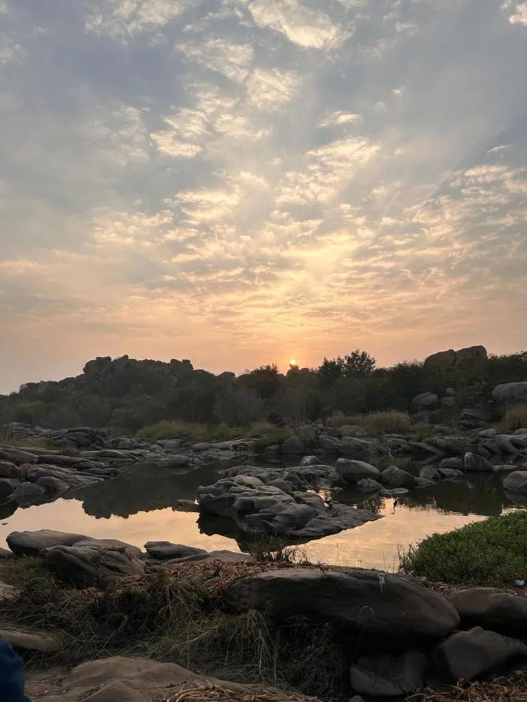 Leo Comforts river view Resort