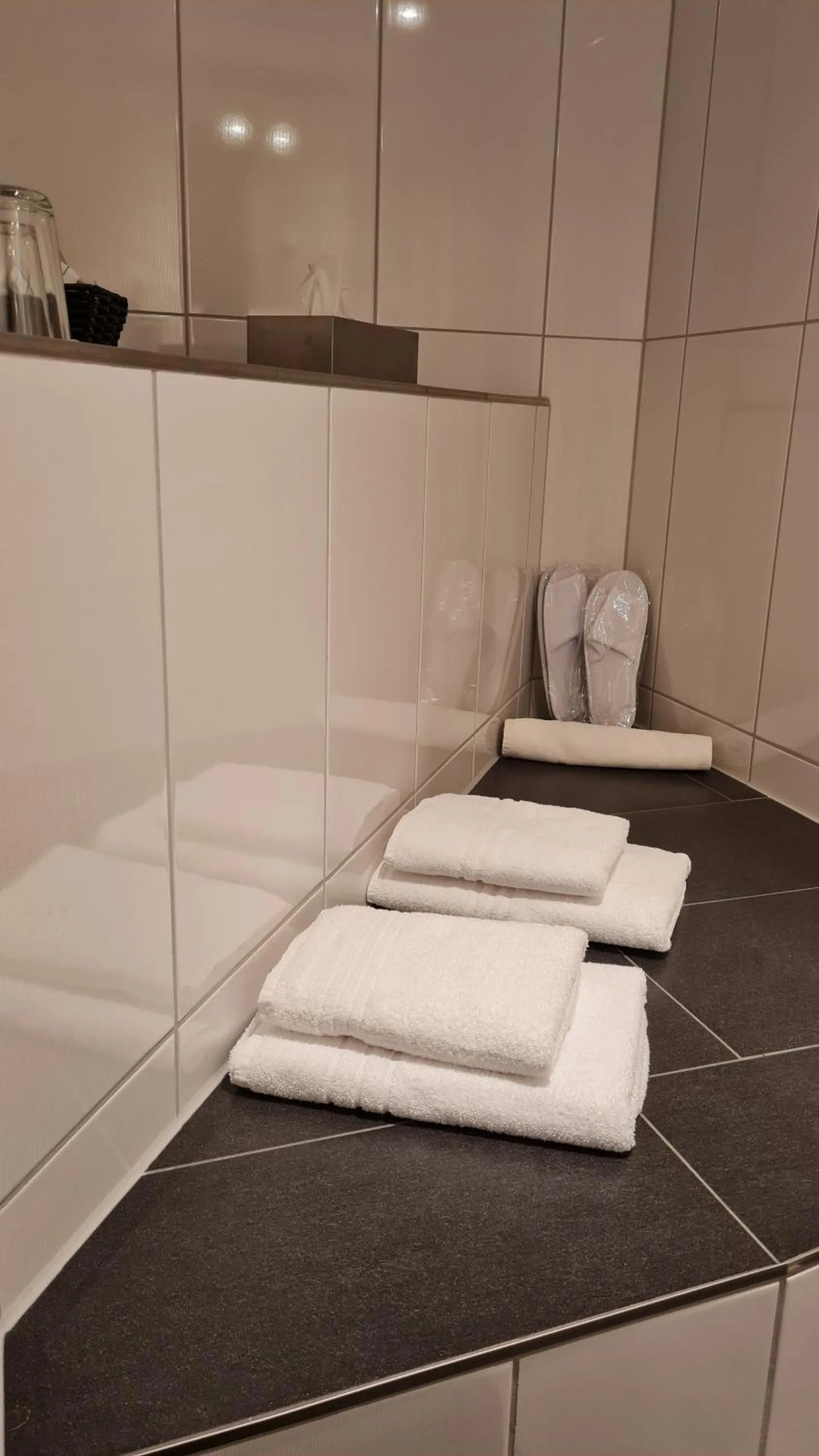 Shower in Hotel Domizil