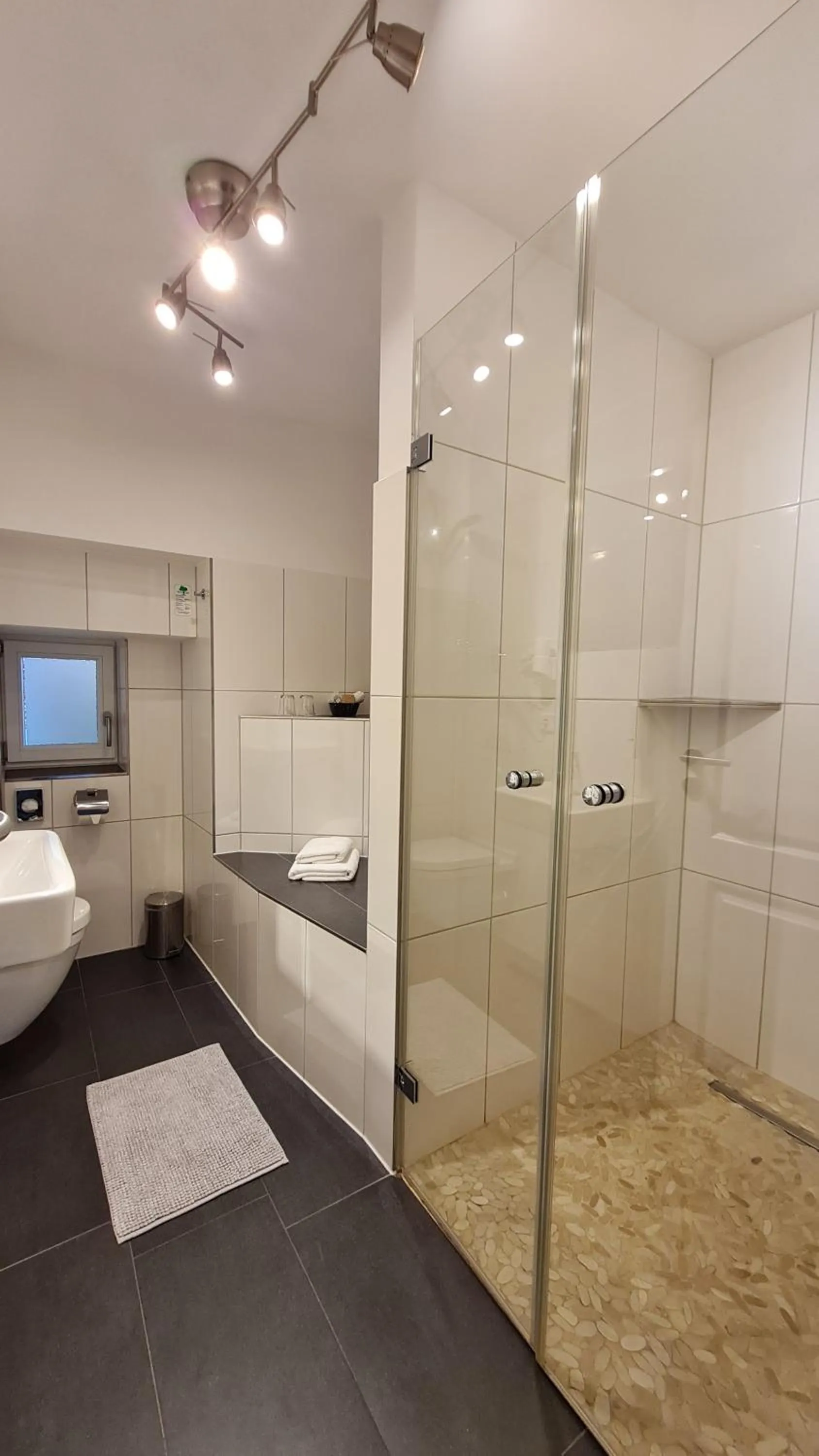 Shower in Hotel Domizil