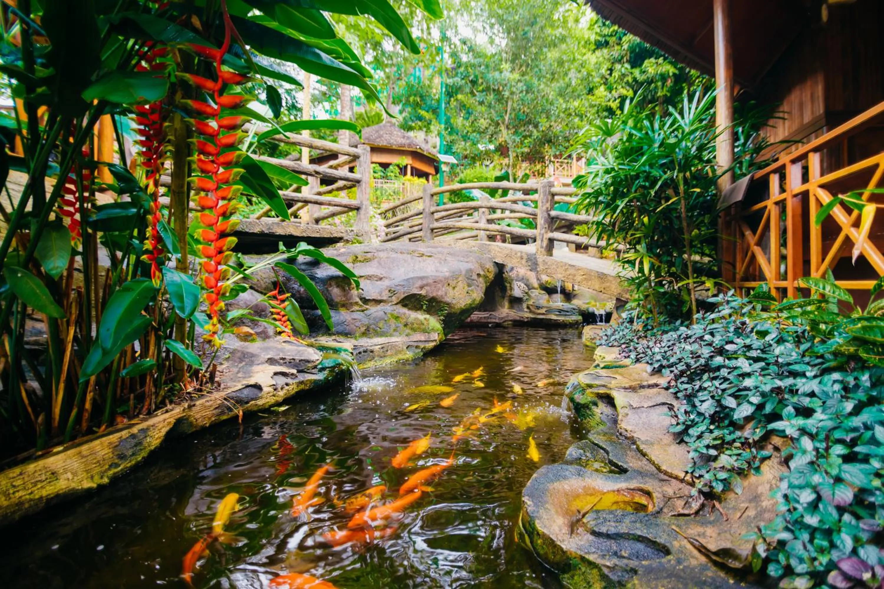 Natural landscape in de Bintan Villa