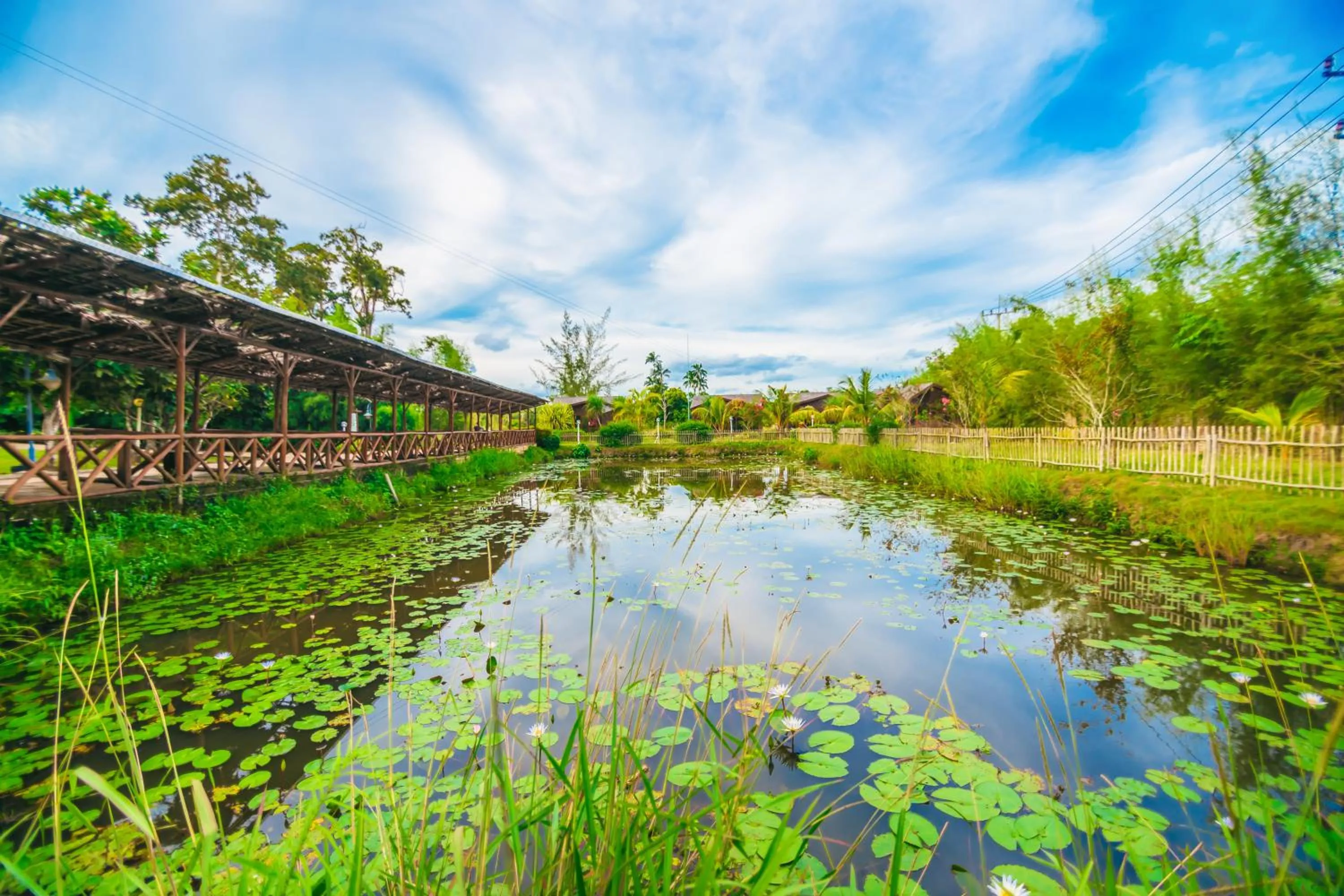 Natural landscape in de Bintan Villa