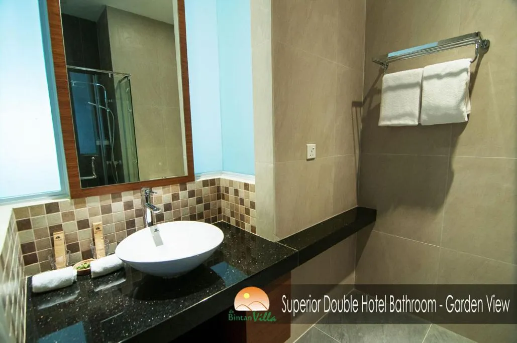 Bathroom in de Bintan Villa