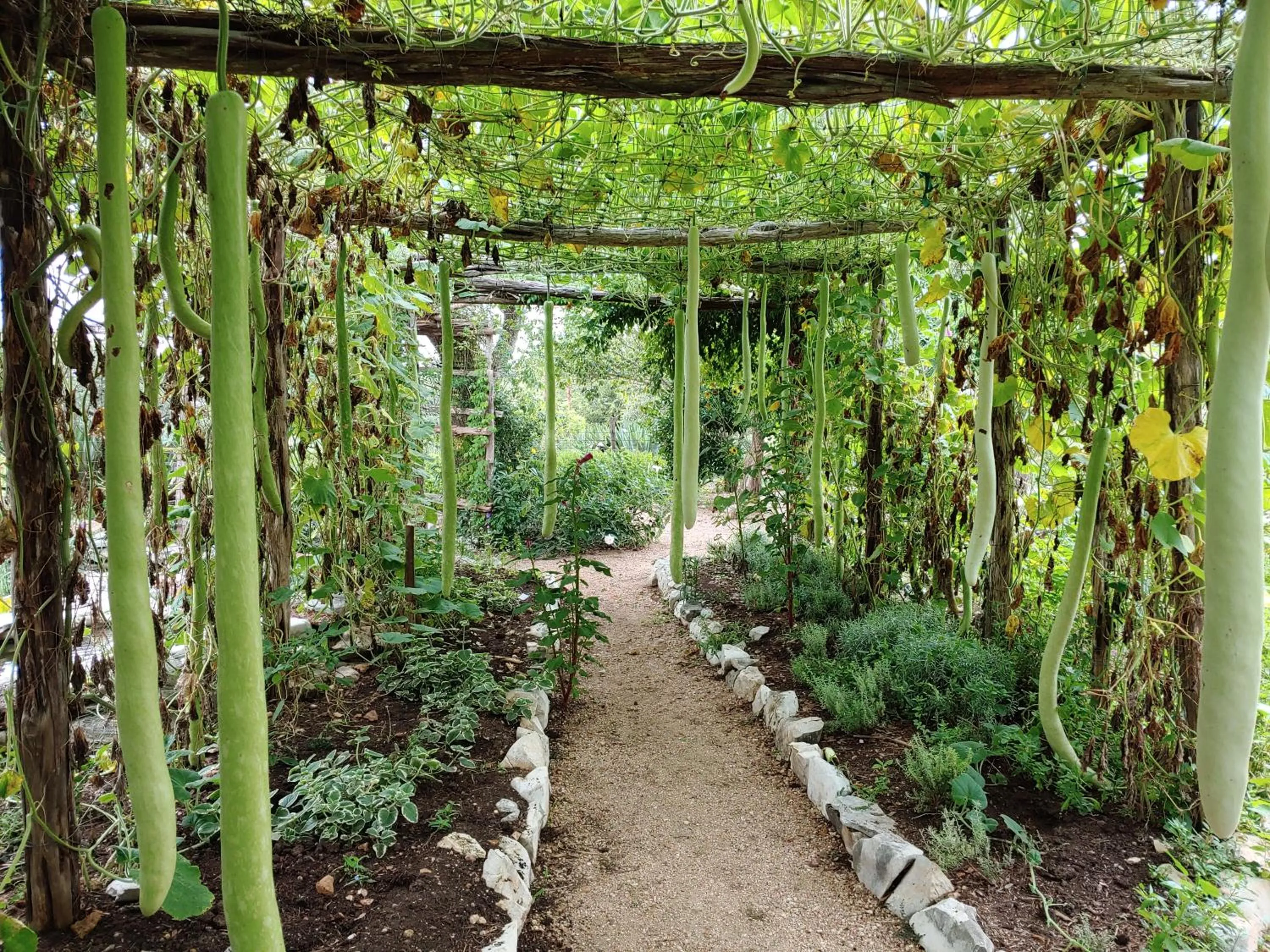 Garden in Sage Hill Inn & Spa