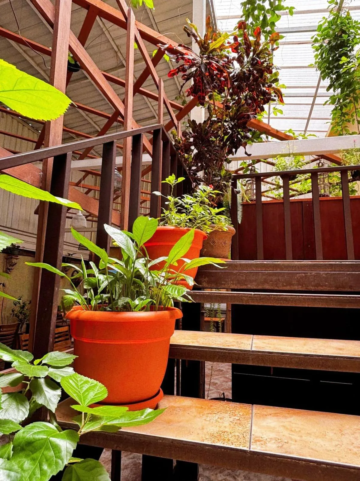 Restaurant/places to eat in Antigua Inn Hotel