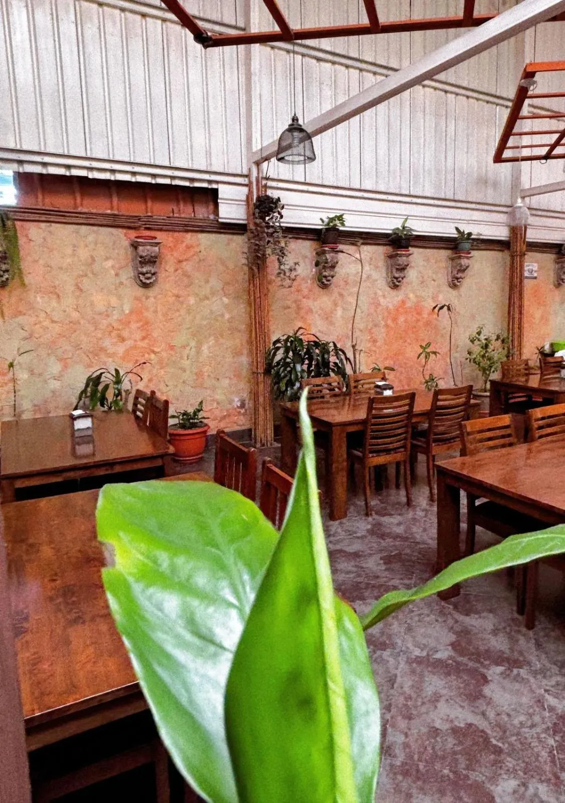 Restaurant/places to eat in Antigua Inn Hotel