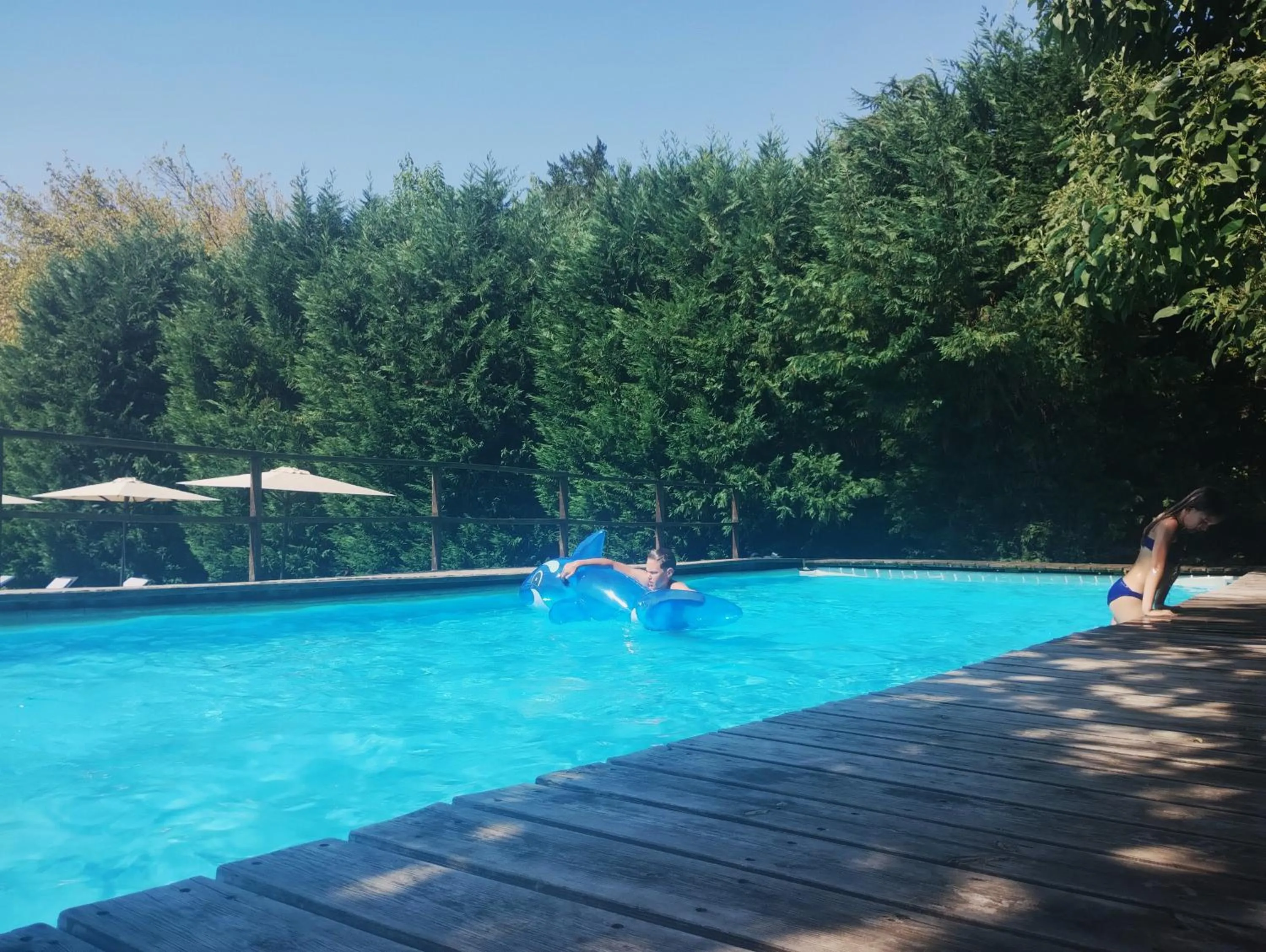 Swimming pool in Villa Moro Lin Design Apartments