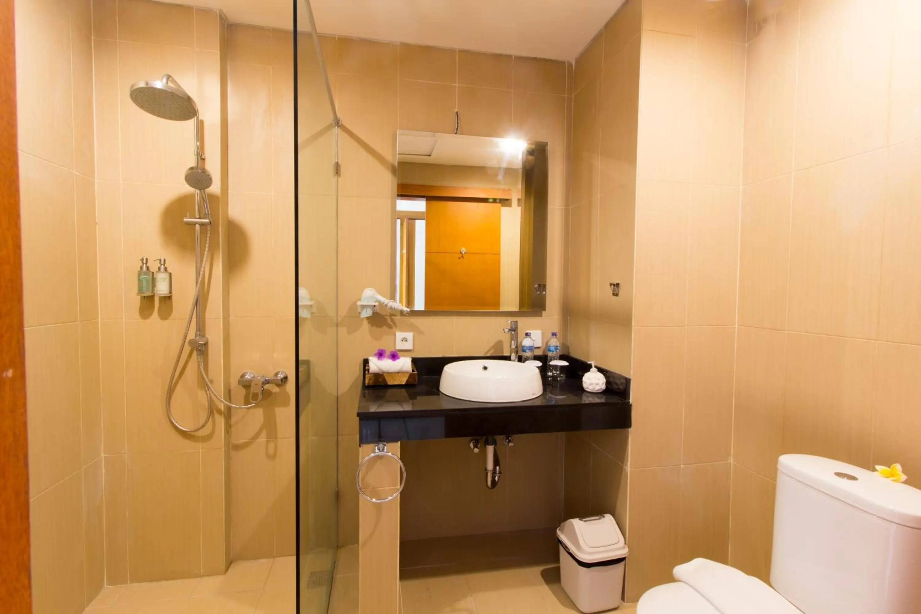 Shower in Abian Harmony Hotel