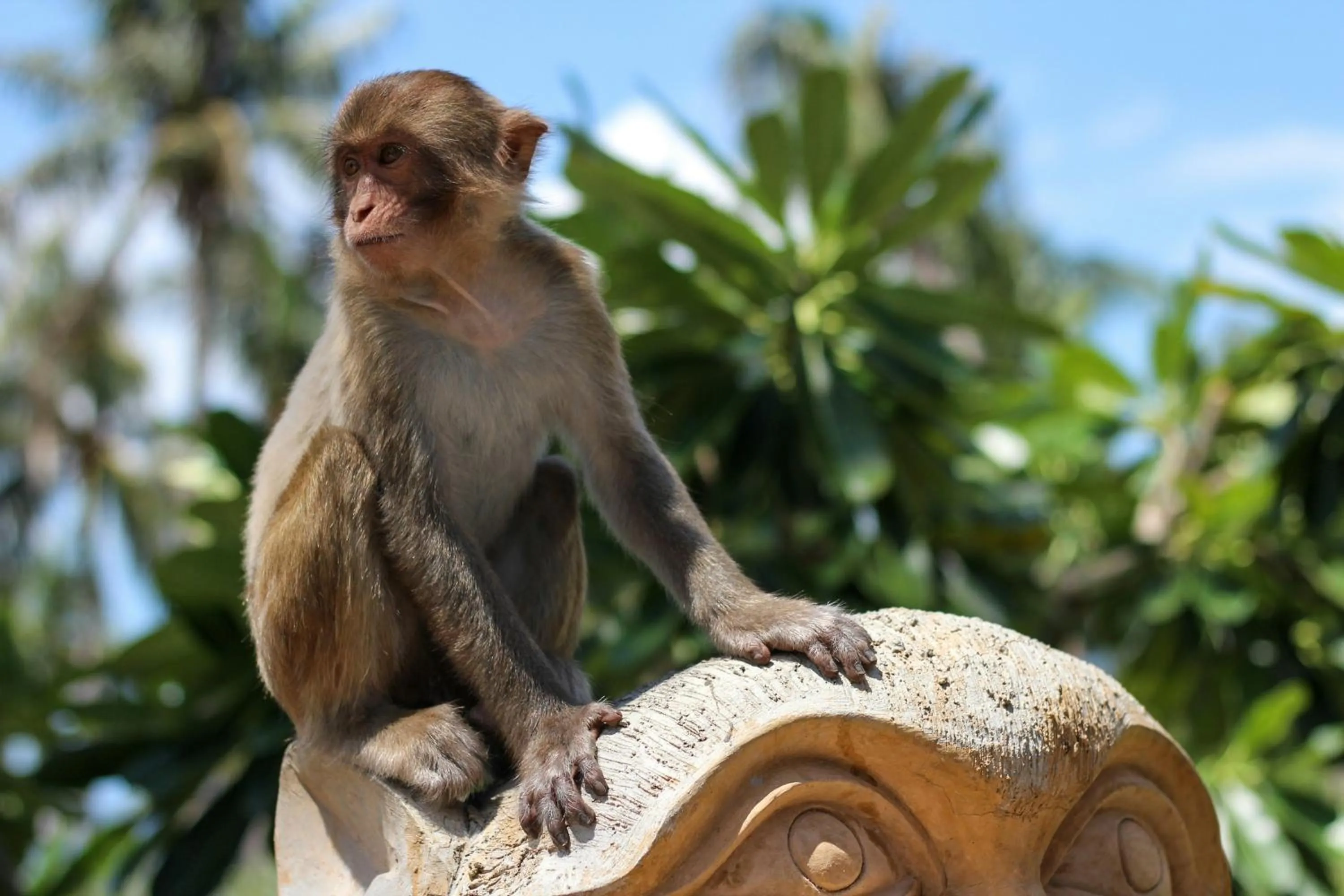 Nearby landmark in voco Scenia Bay Nha Trang by IHG