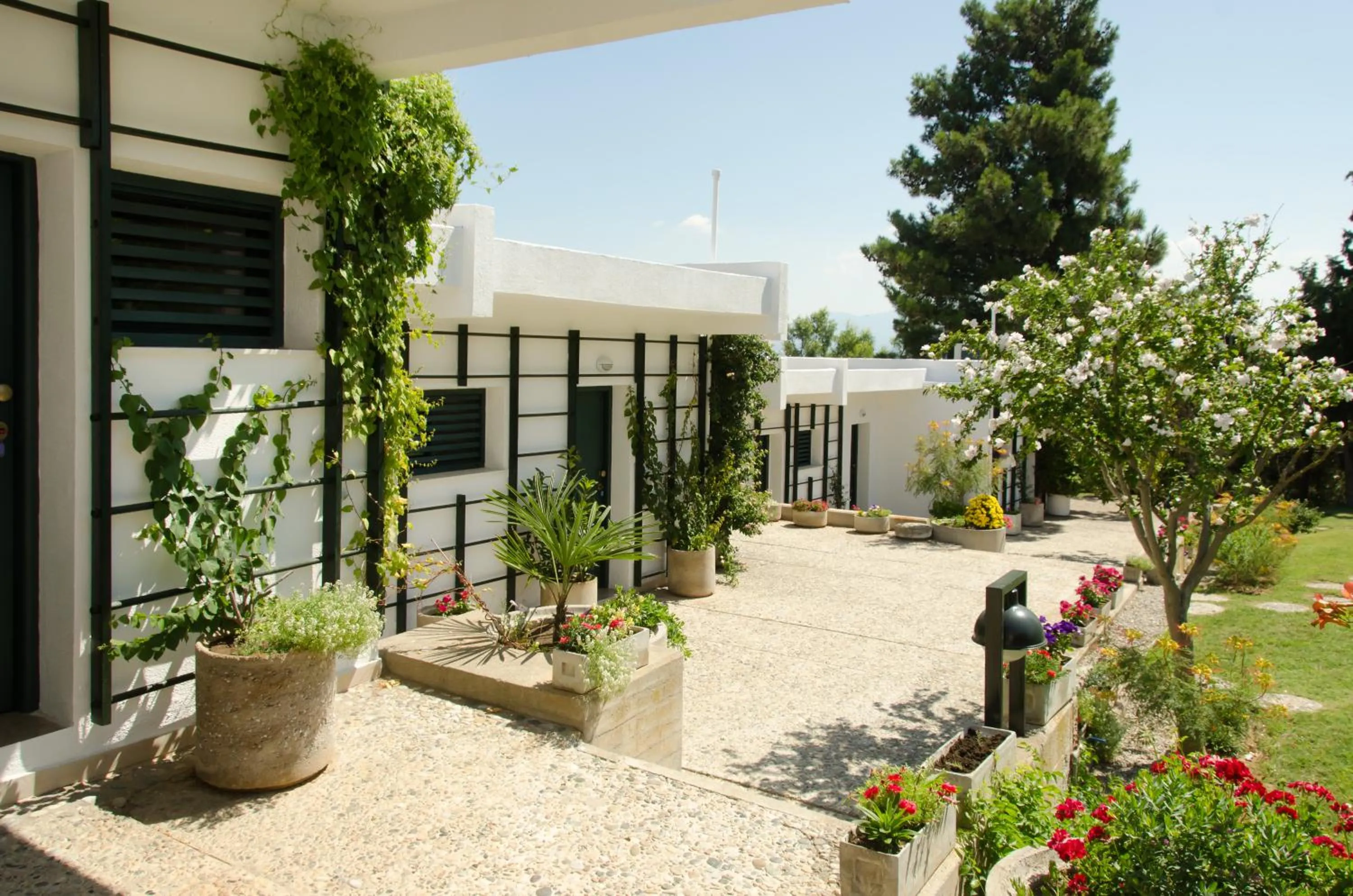 Garden in Angelbay Bungalows