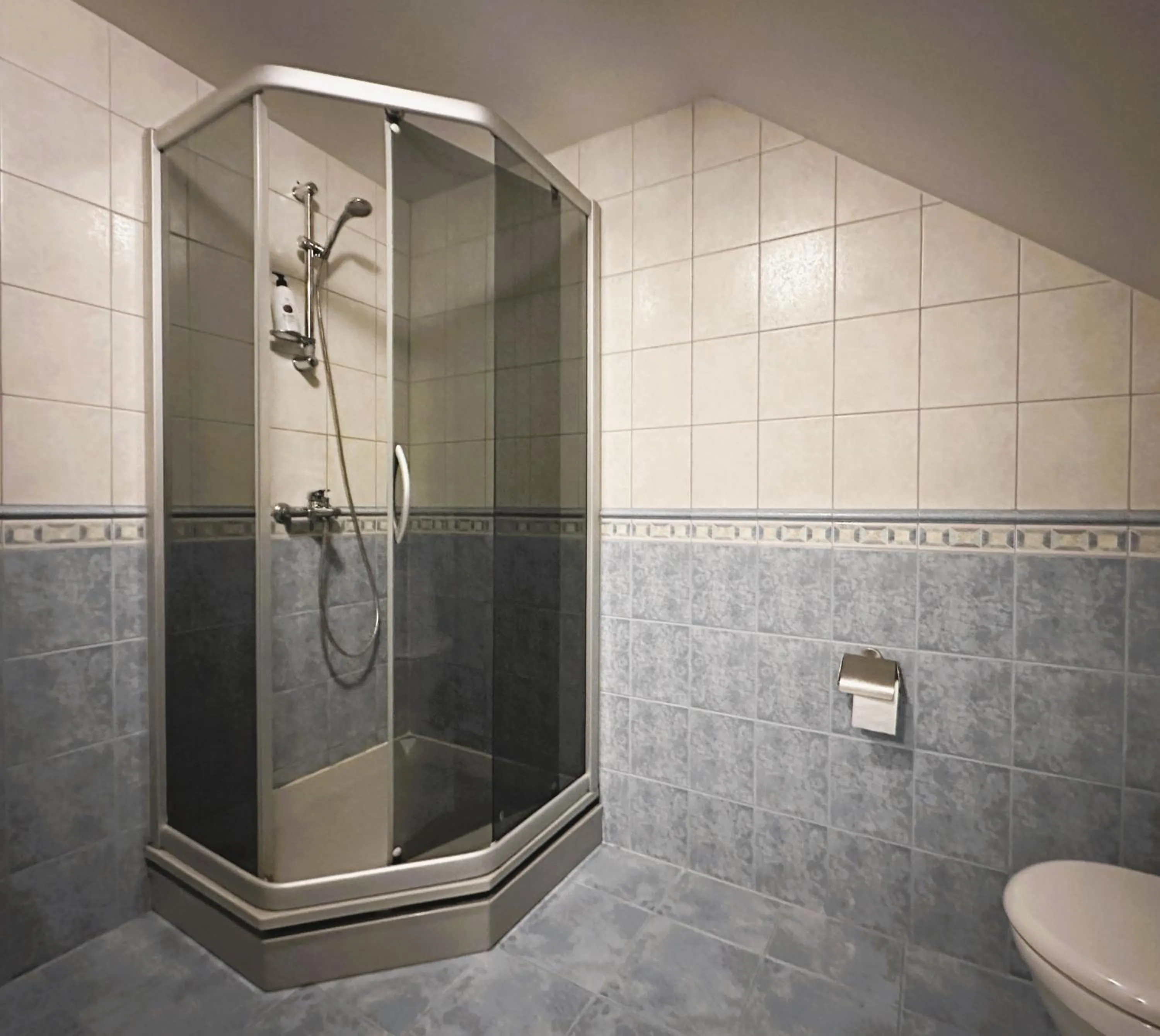 Shower in North Lake Villa Plateliai