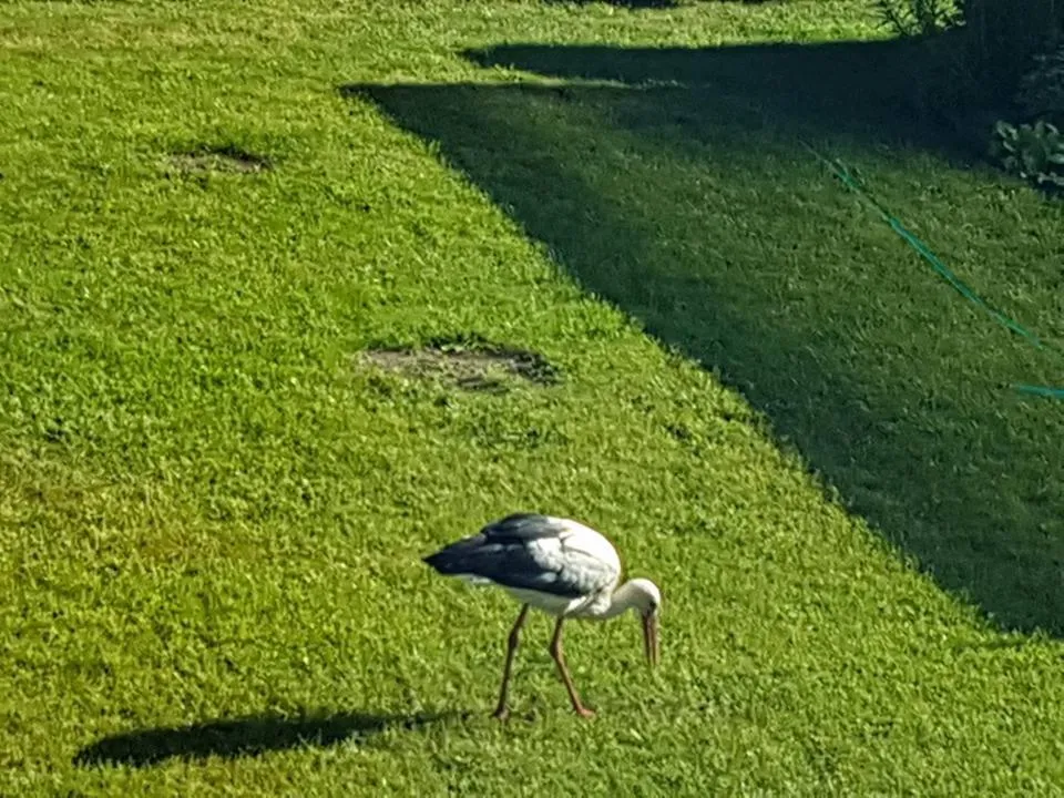 Neighbourhood in North Lake Villa Plateliai