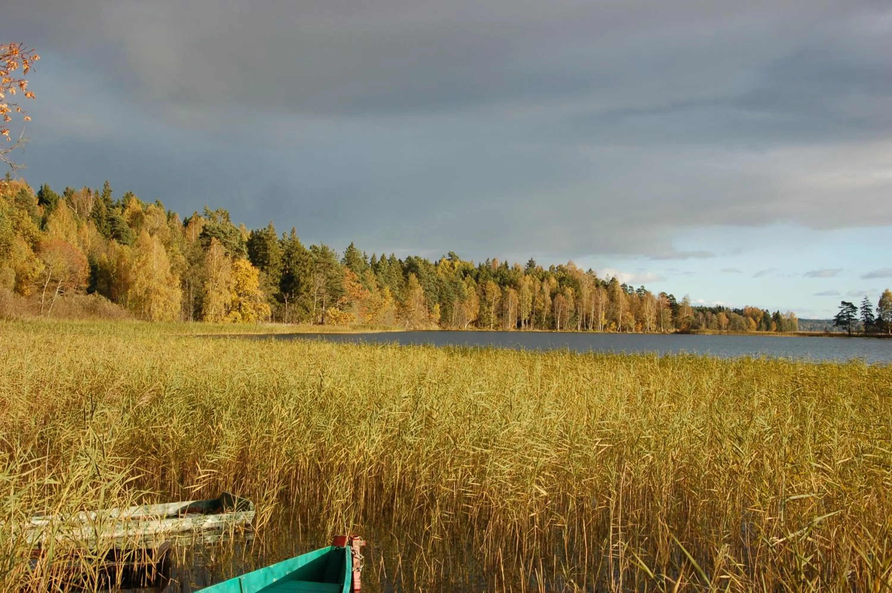 Property building in North Lake Villa Plateliai