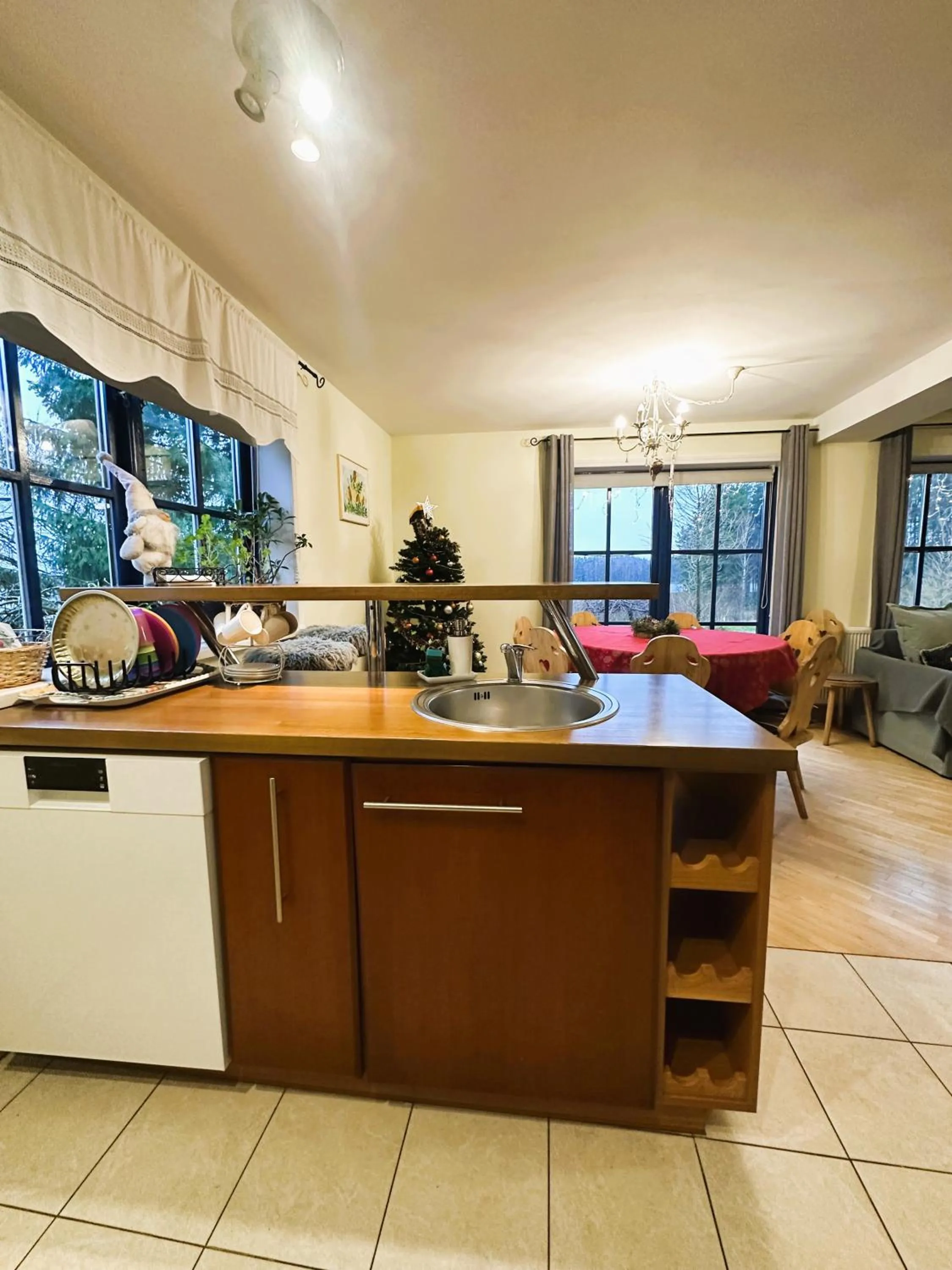 Kitchen or kitchenette in North Lake Villa Plateliai