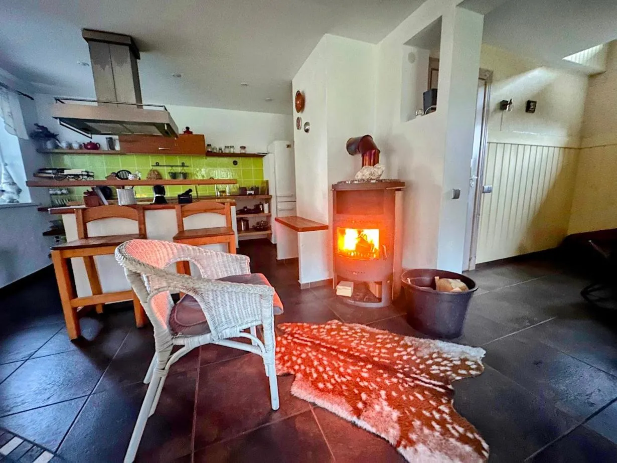 fireplace in North Lake Villa Plateliai