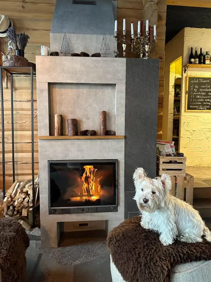 Restaurant/places to eat in North Lake Villa Plateliai