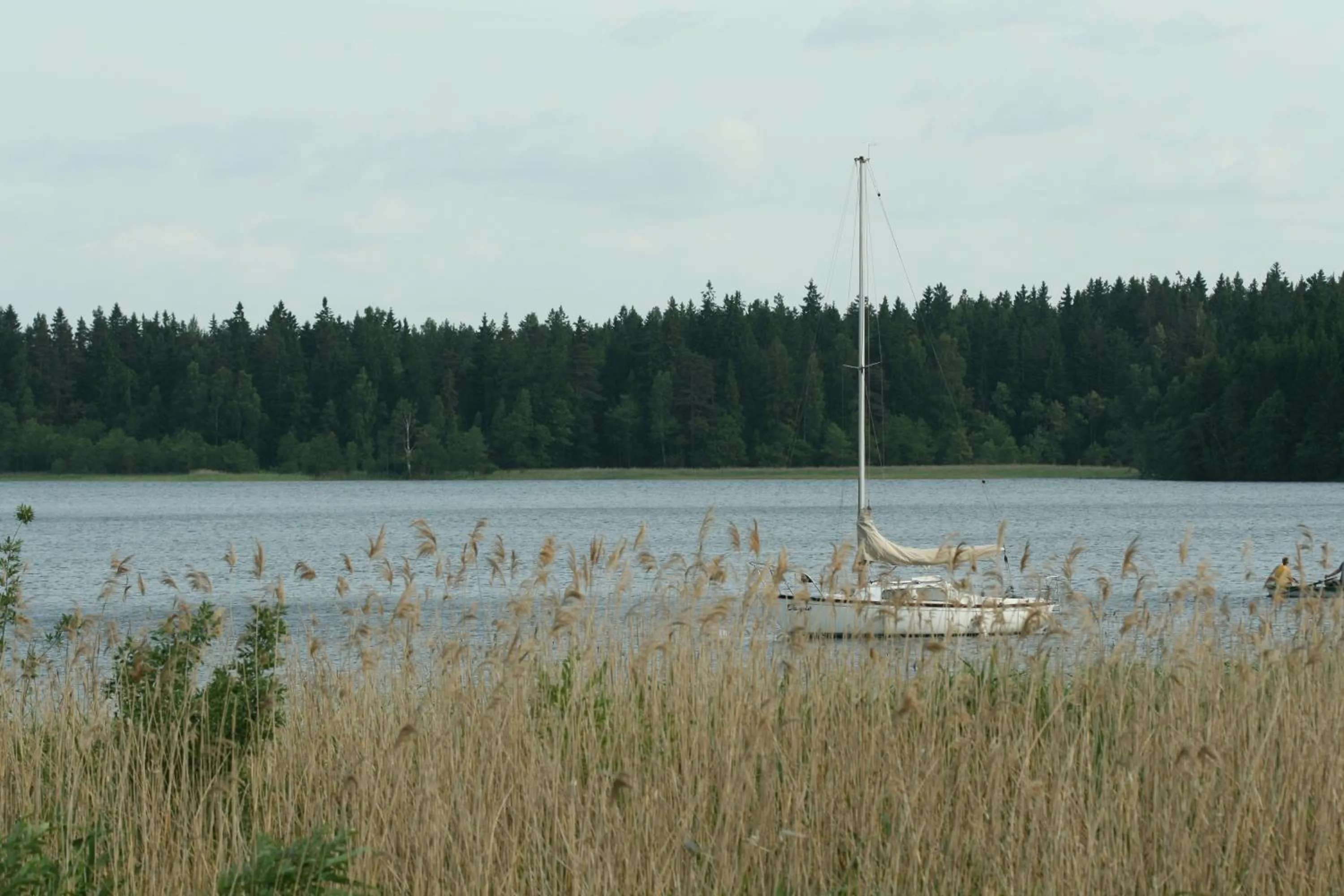 Lake view in North Lake Villa Plateliai