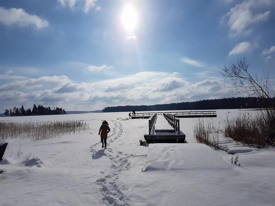 Natural landscape in North Lake Villa Plateliai
