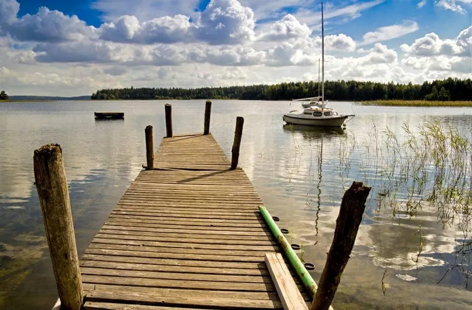 Natural landscape in North Lake Villa Plateliai