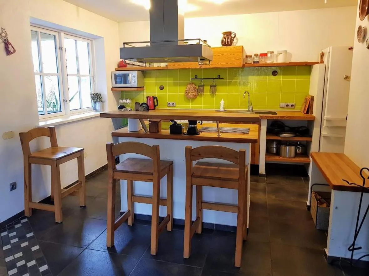 Kitchen or kitchenette in North Lake Villa Plateliai