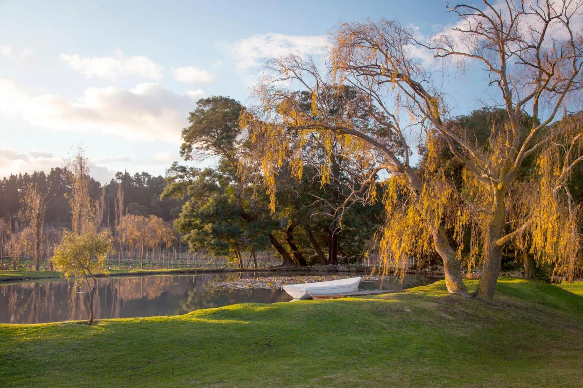 Natural landscape in Houw Hoek Hotel