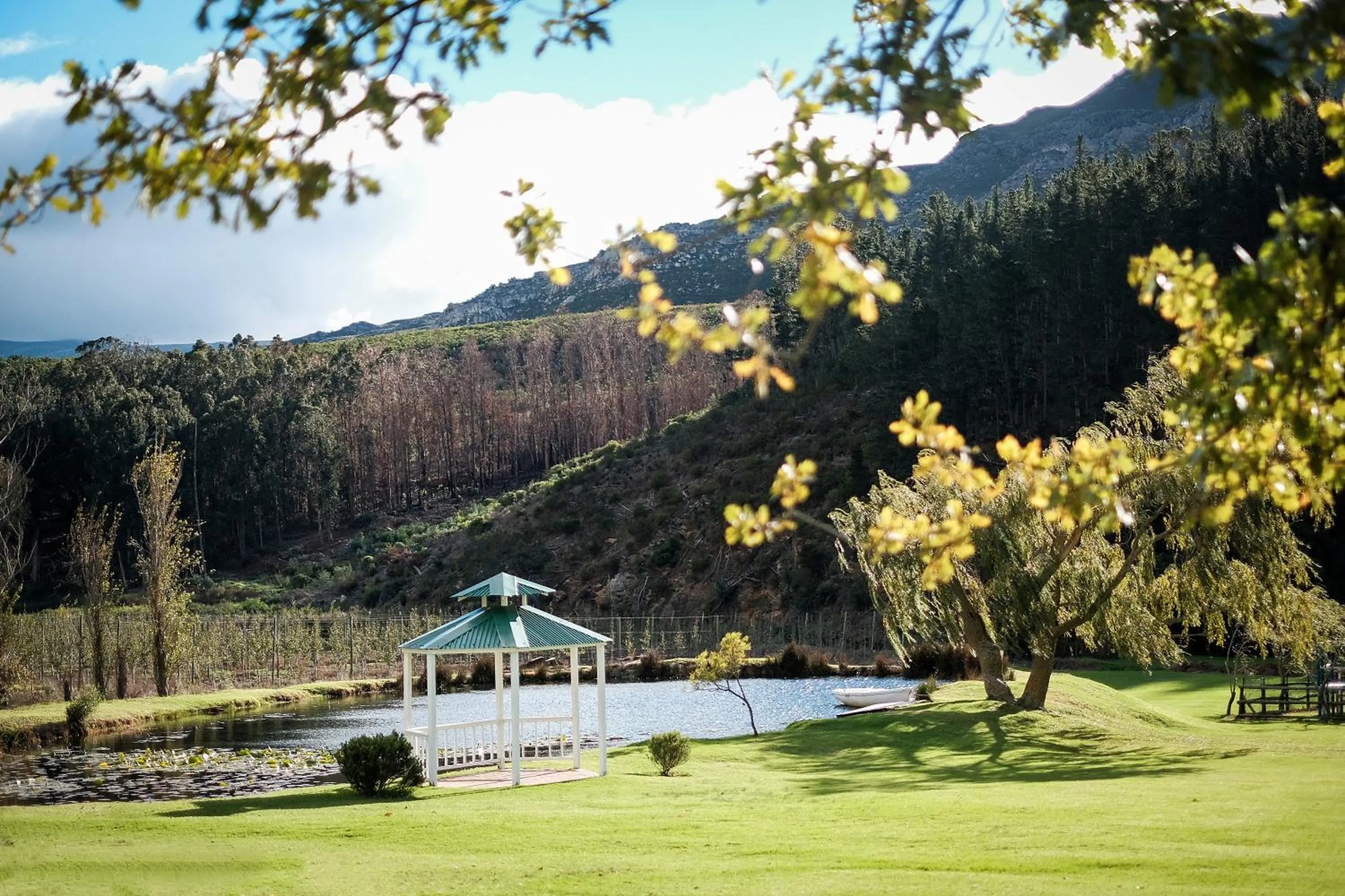 Natural landscape in Houw Hoek Hotel