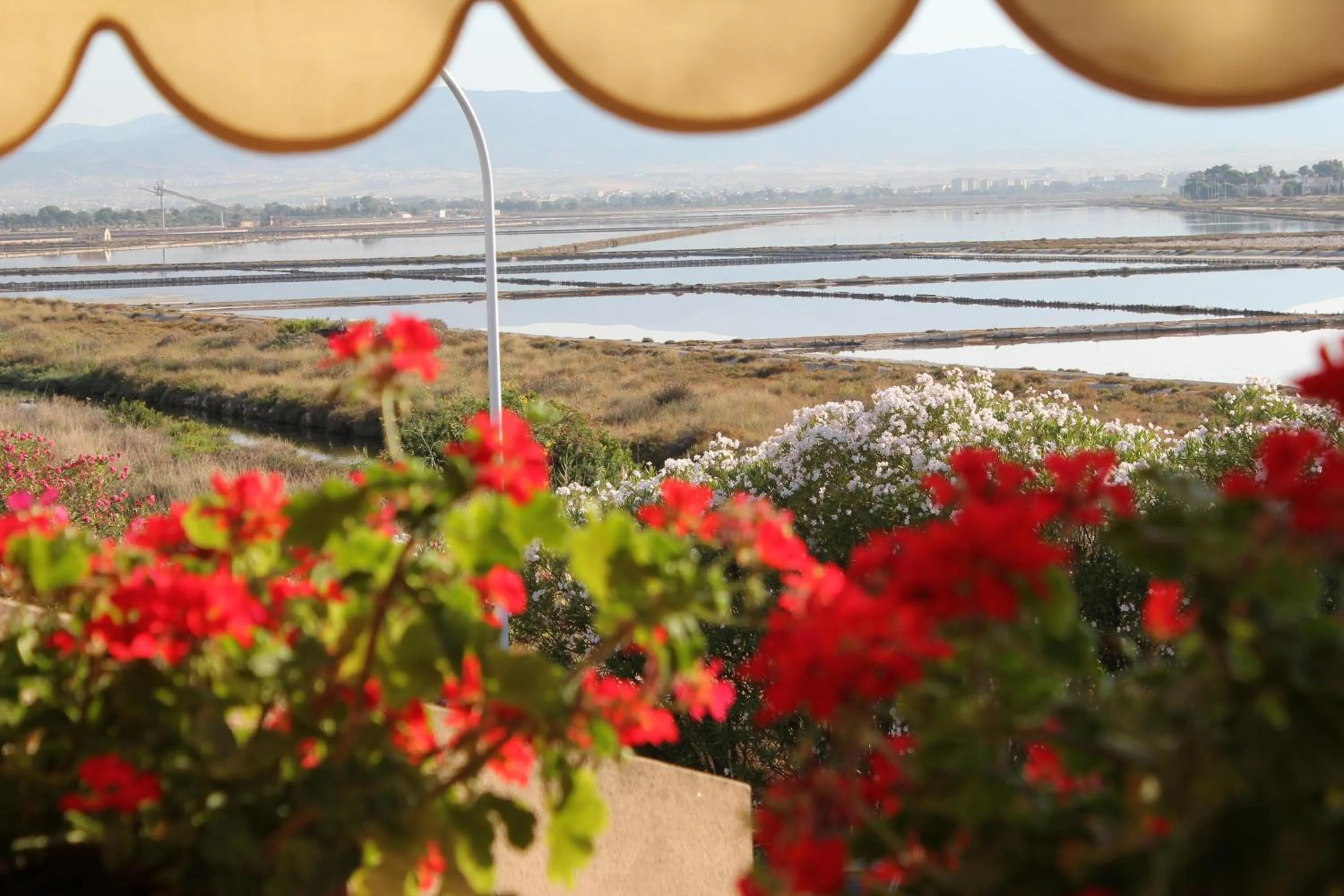 View (from property/room) in La Tuia e il Tasso