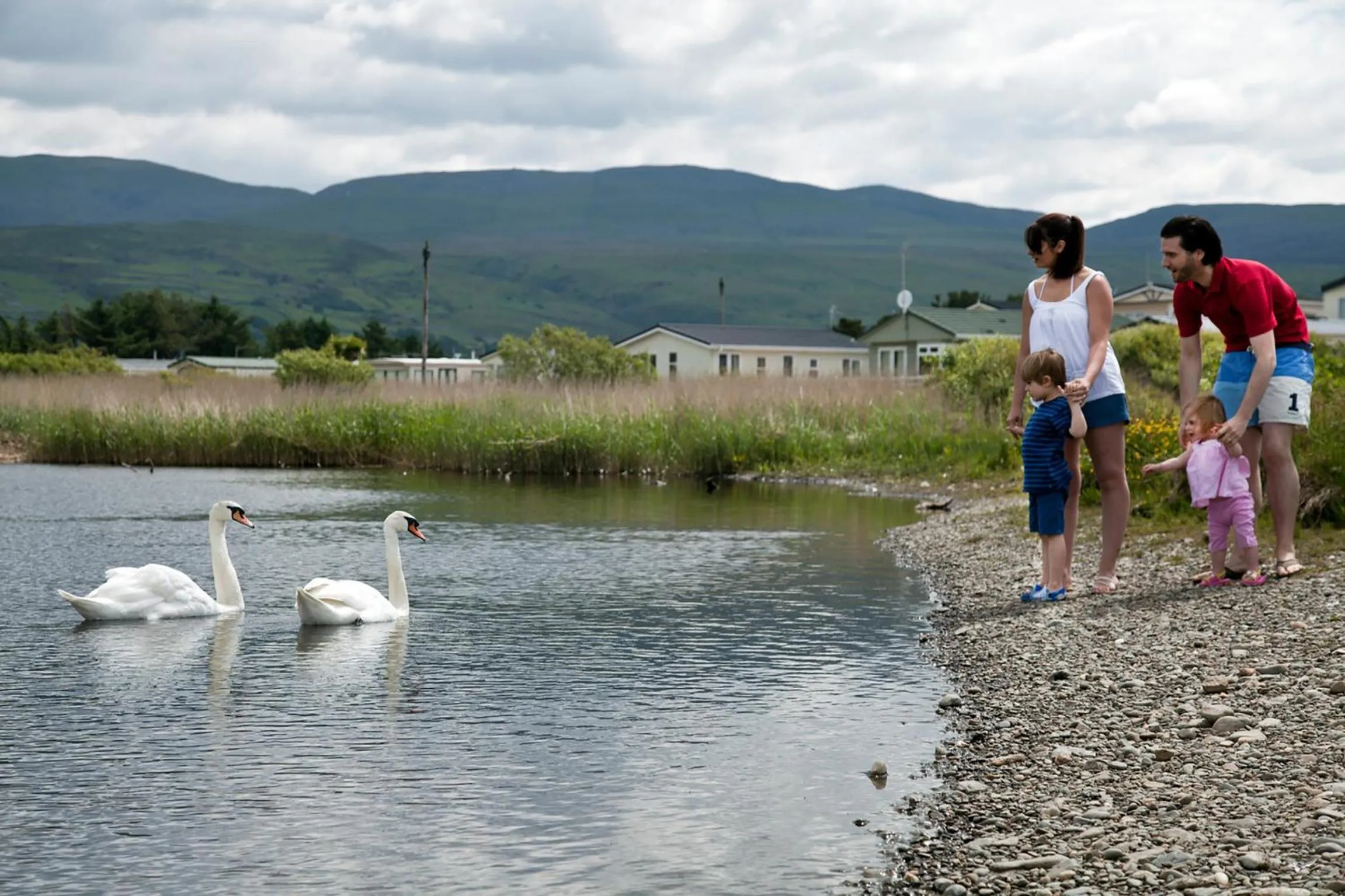 Natural landscape in Barmouth Bay Holiday Park
