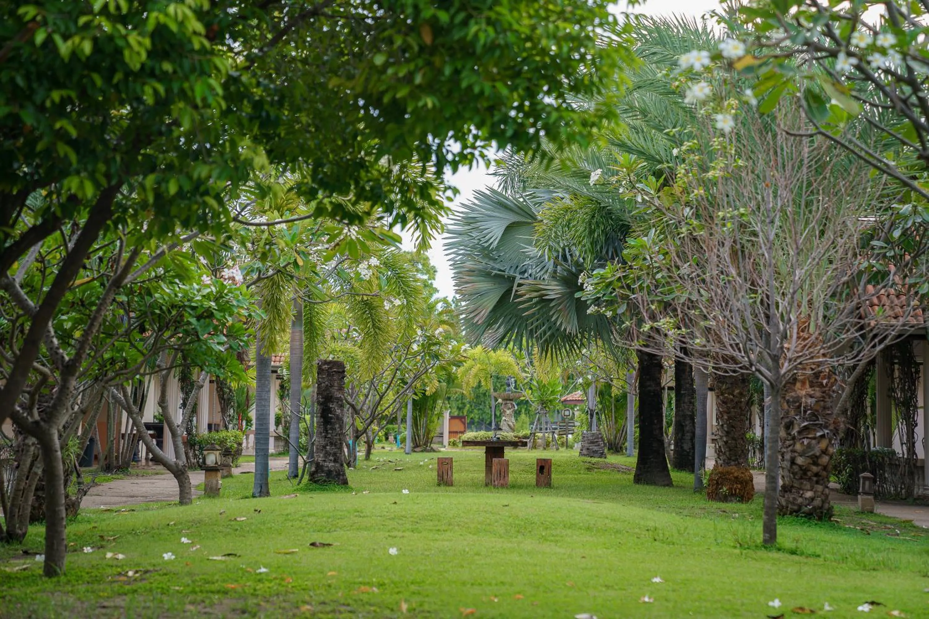 Two Fifty Nine Resort 259 Resort